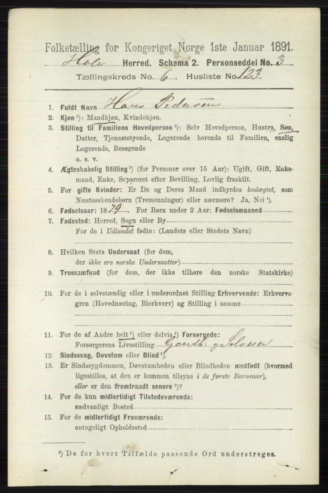 RA, 1891 census for 0612 Hole, 1891, p. 3869