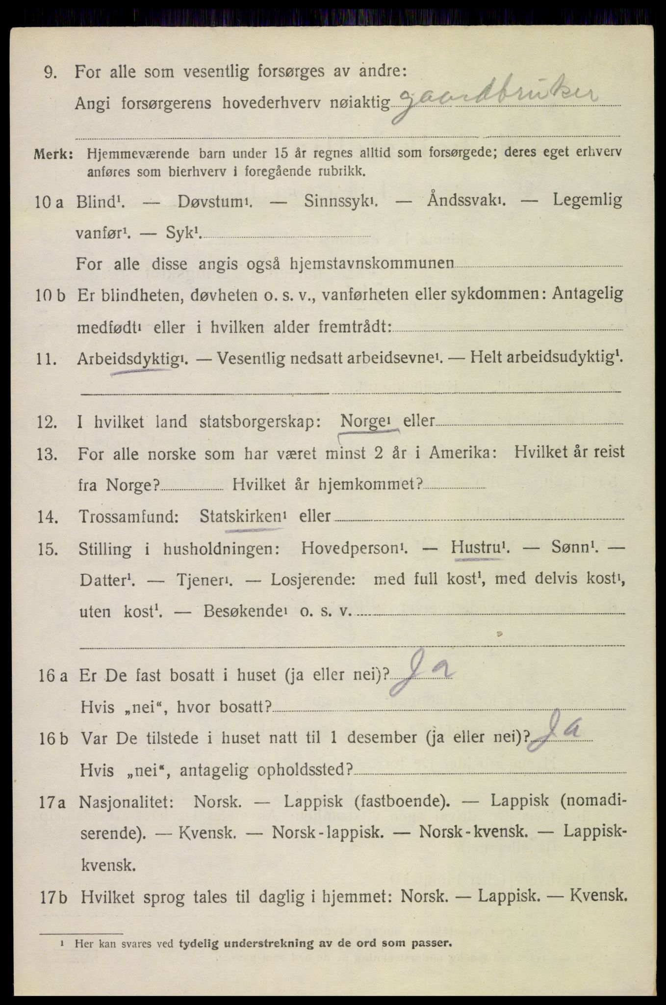 SAT, 1920 census for Bø, 1920, p. 8251