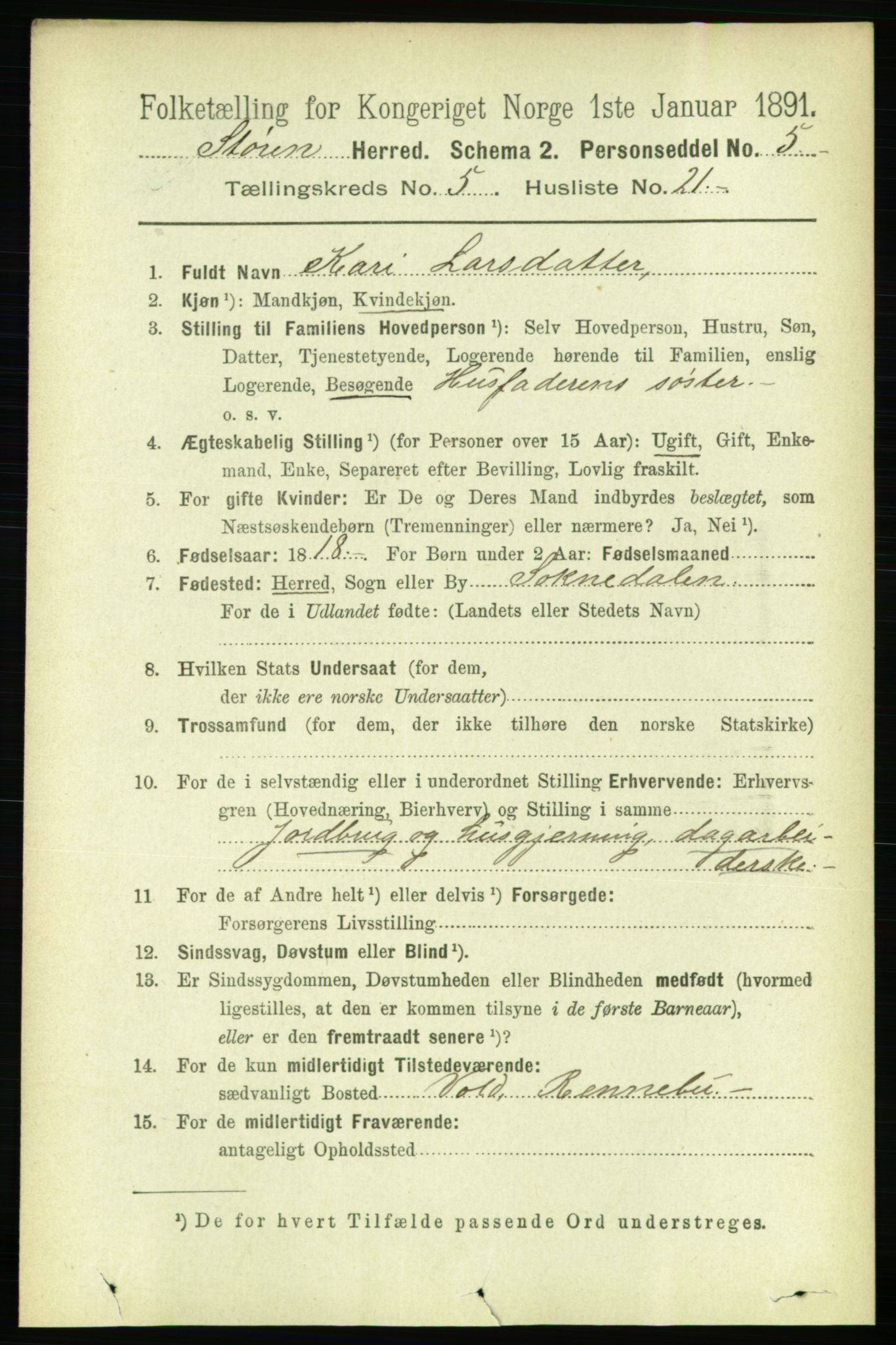 RA, 1891 census for 1648 Støren, 1891, p. 2059