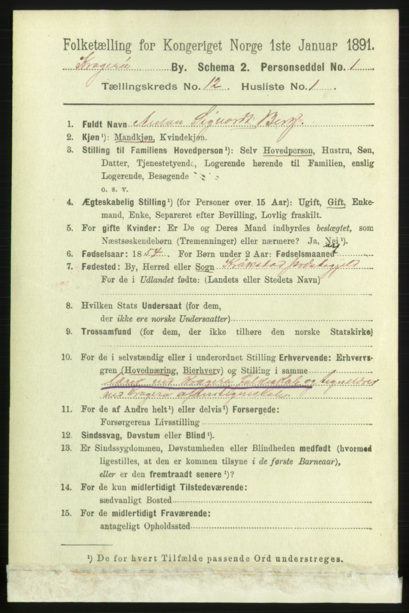 RA, 1891 census for 0801 Kragerø, 1891, p. 3917