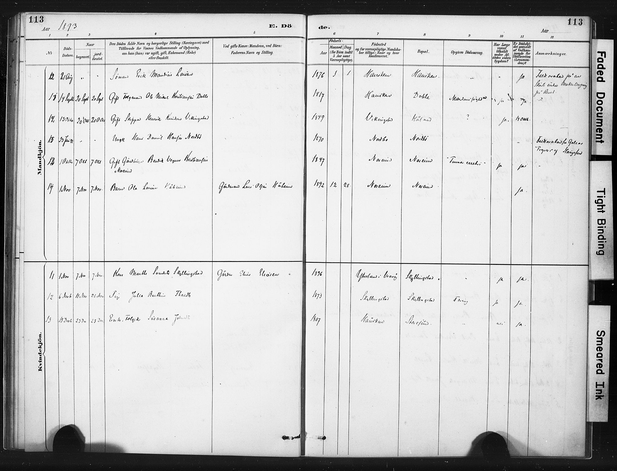 Torvastad sokneprestkontor, AV/SAST-A -101857/H/Ha/Haa/L0015: Parish register (official) no. A 14, 1888-1899, p. 113