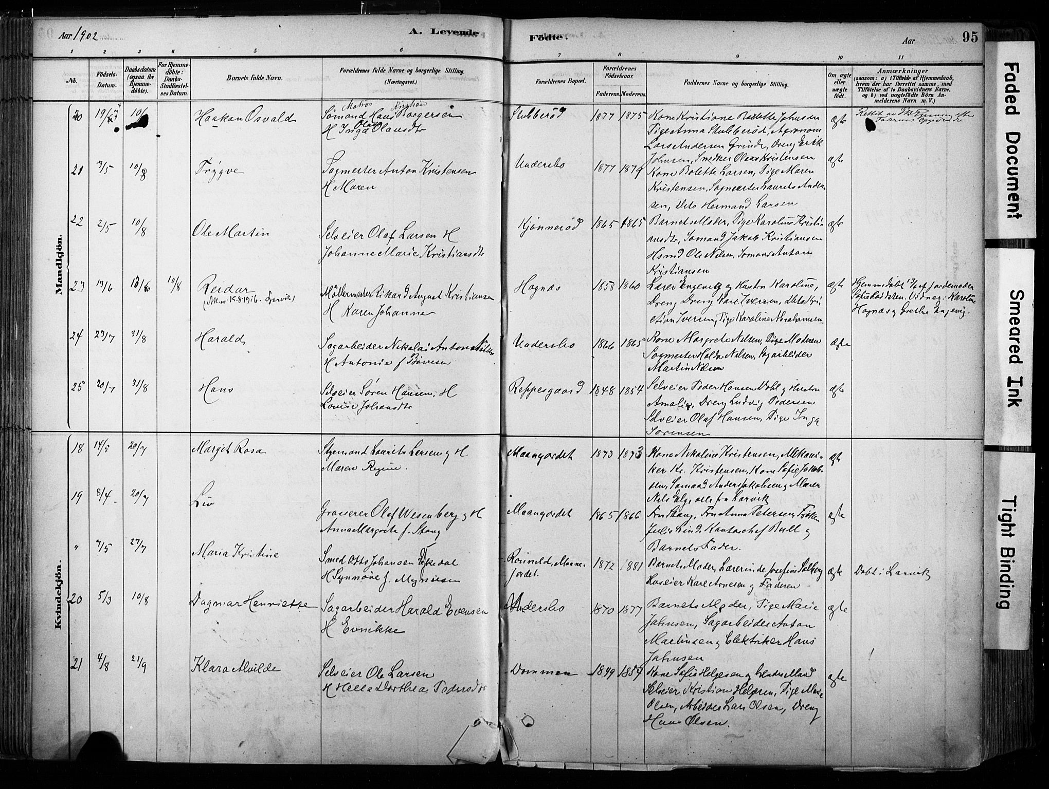 Hedrum kirkebøker, AV/SAKO-A-344/F/Fa/L0009: Parish register (official) no. I 9, 1881-1903, p. 95