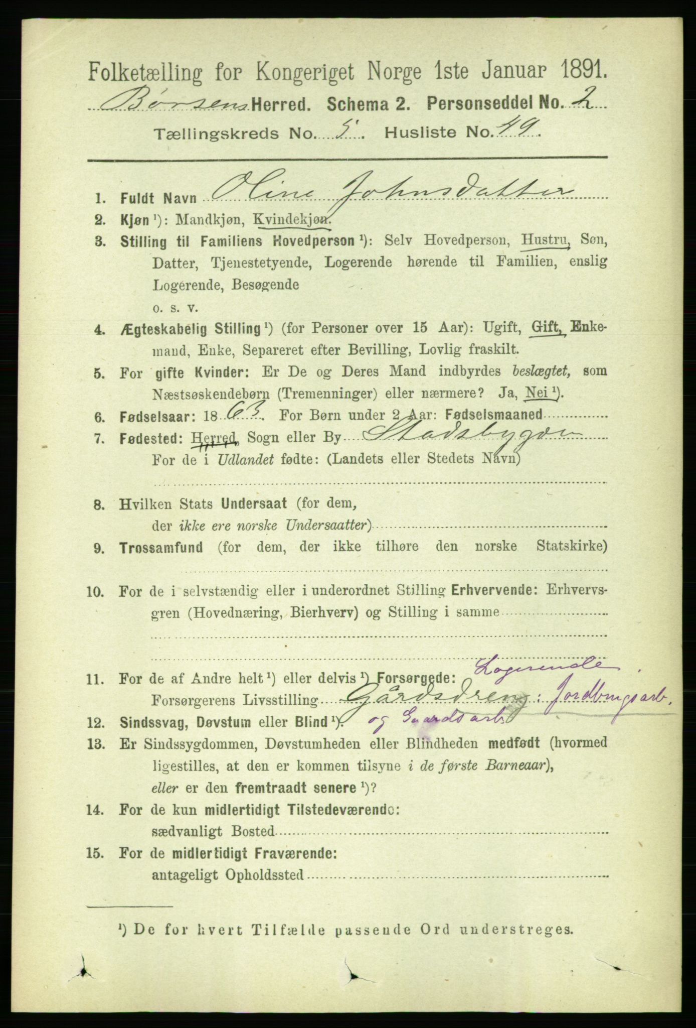 RA, 1891 census for 1658 Børsa, 1891, p. 2256