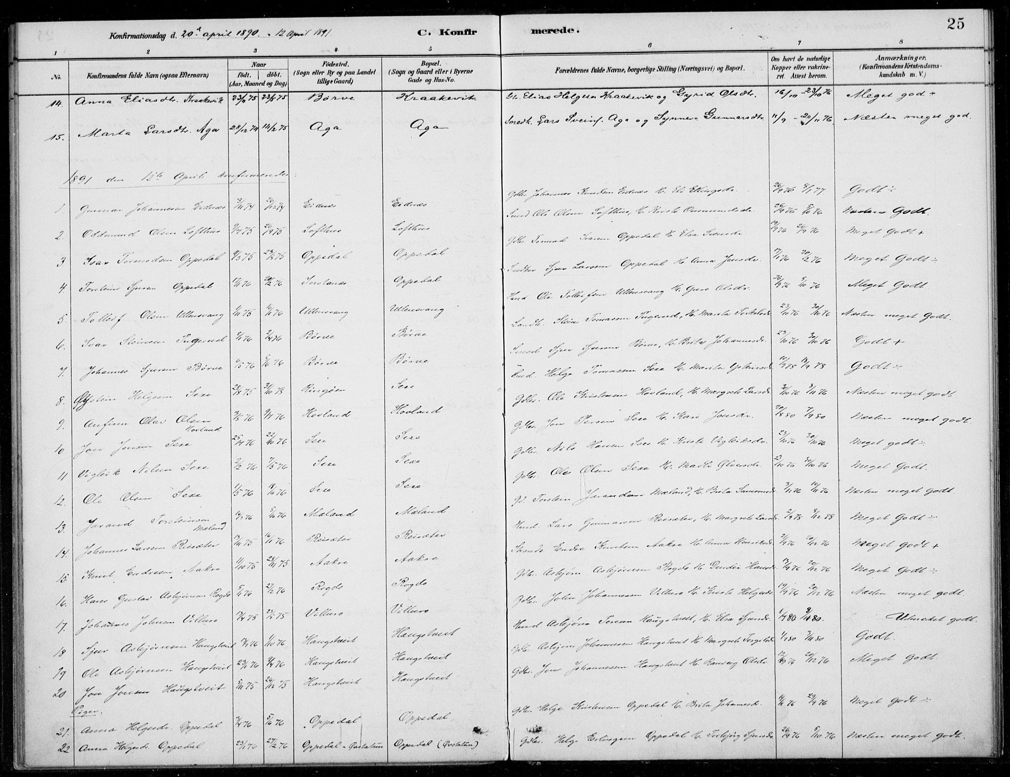 Ullensvang sokneprestembete, SAB/A-78701/H/Haa: Parish register (official) no. B  2, 1880-1910, p. 25