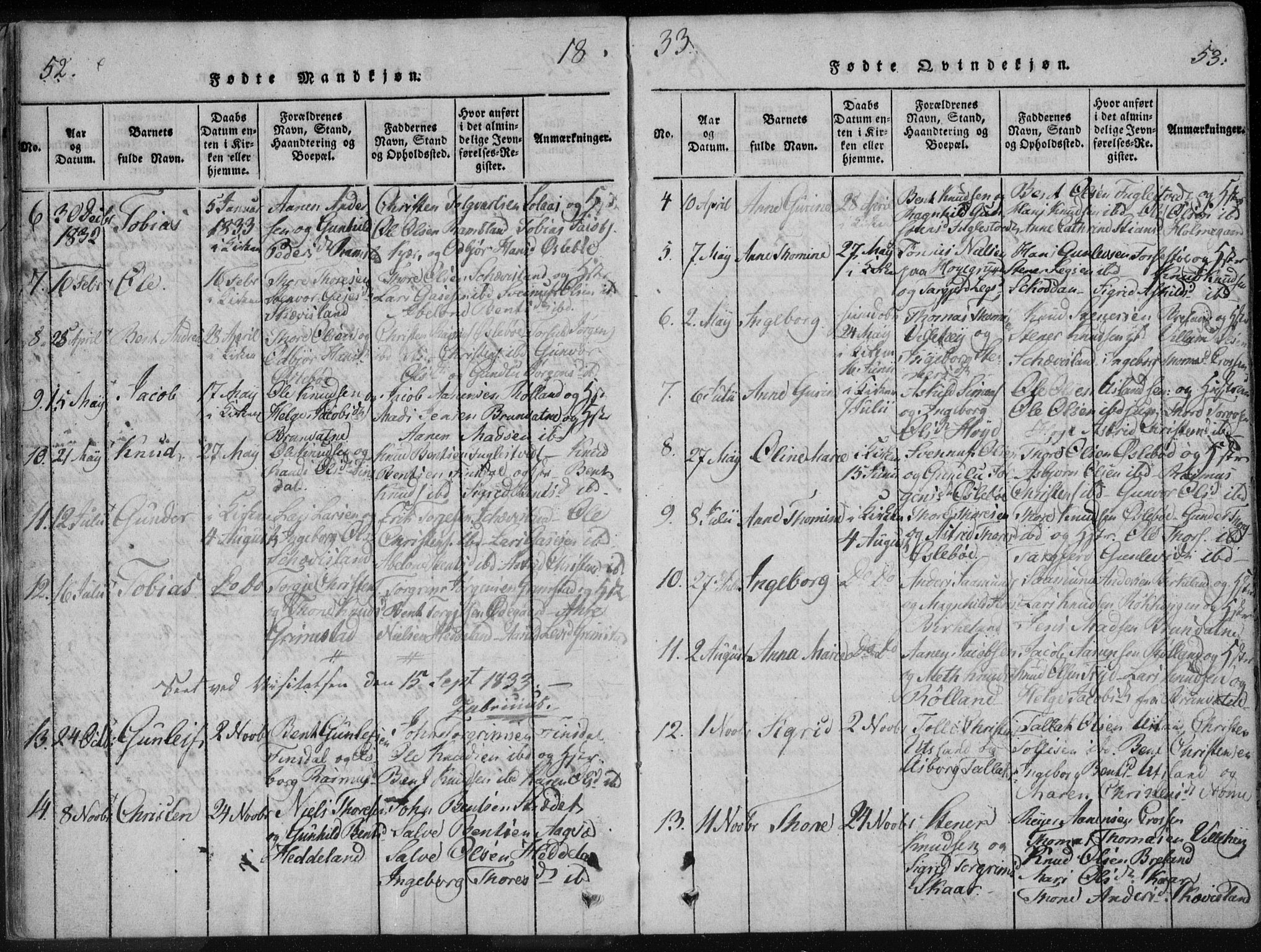 Holum sokneprestkontor, AV/SAK-1111-0022/F/Fa/Fac/L0002: Parish register (official) no. A 2, 1821-1859, p. 52-53