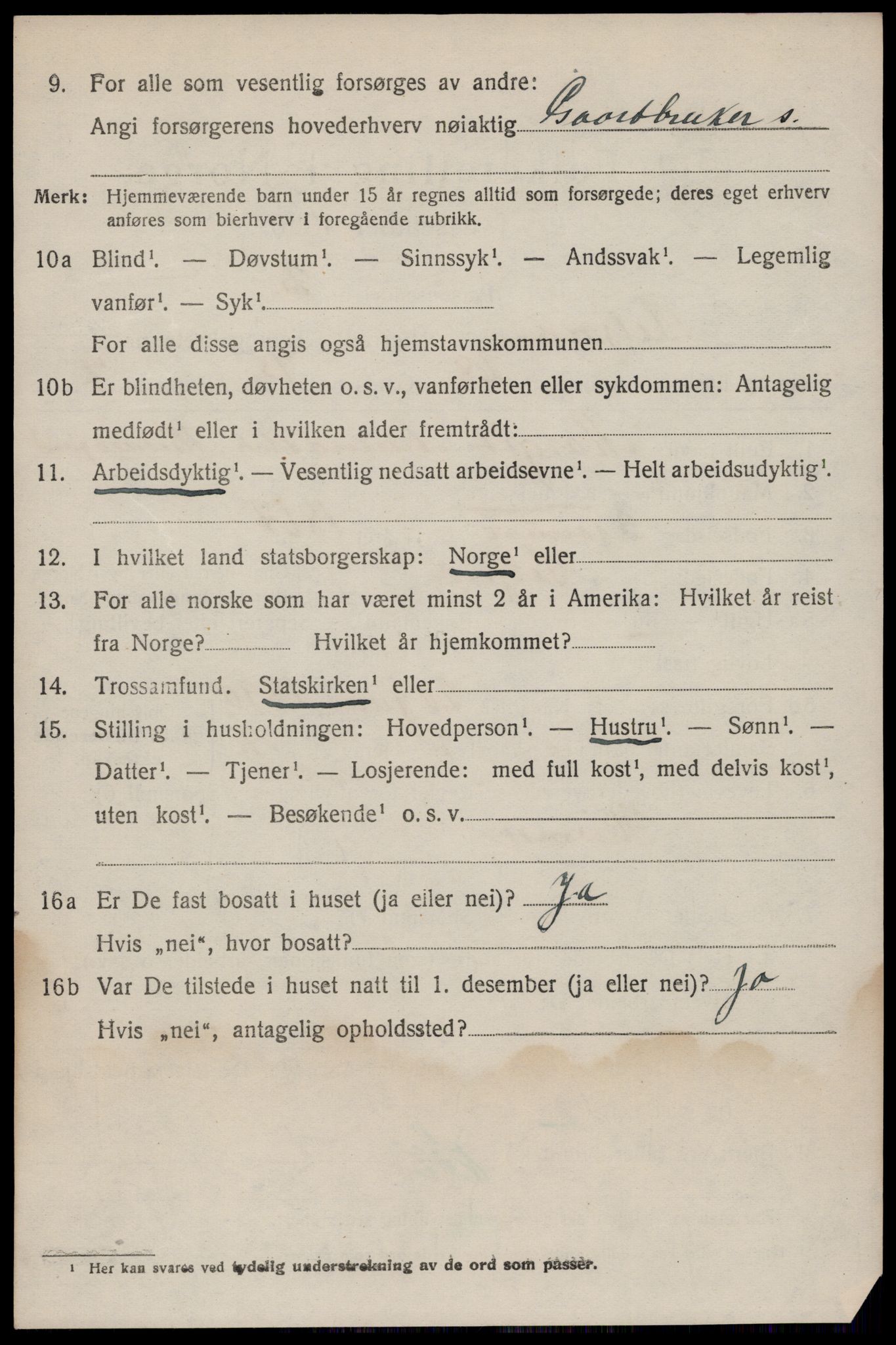 SAKO, 1920 census for Seljord, 1920, p. 5017