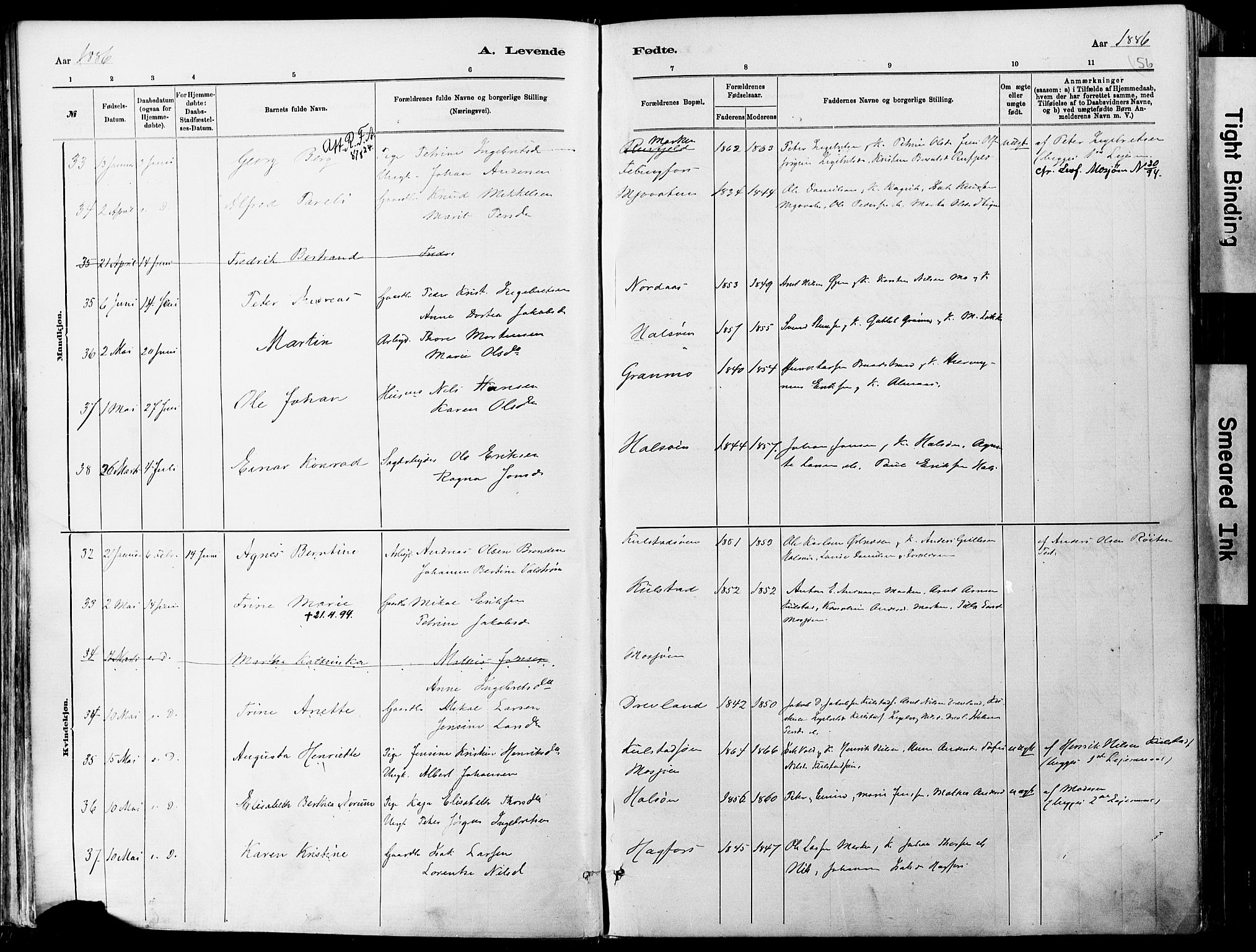 Ministerialprotokoller, klokkerbøker og fødselsregistre - Nordland, AV/SAT-A-1459/820/L0295: Parish register (official) no. 820A16, 1880-1896, p. 56