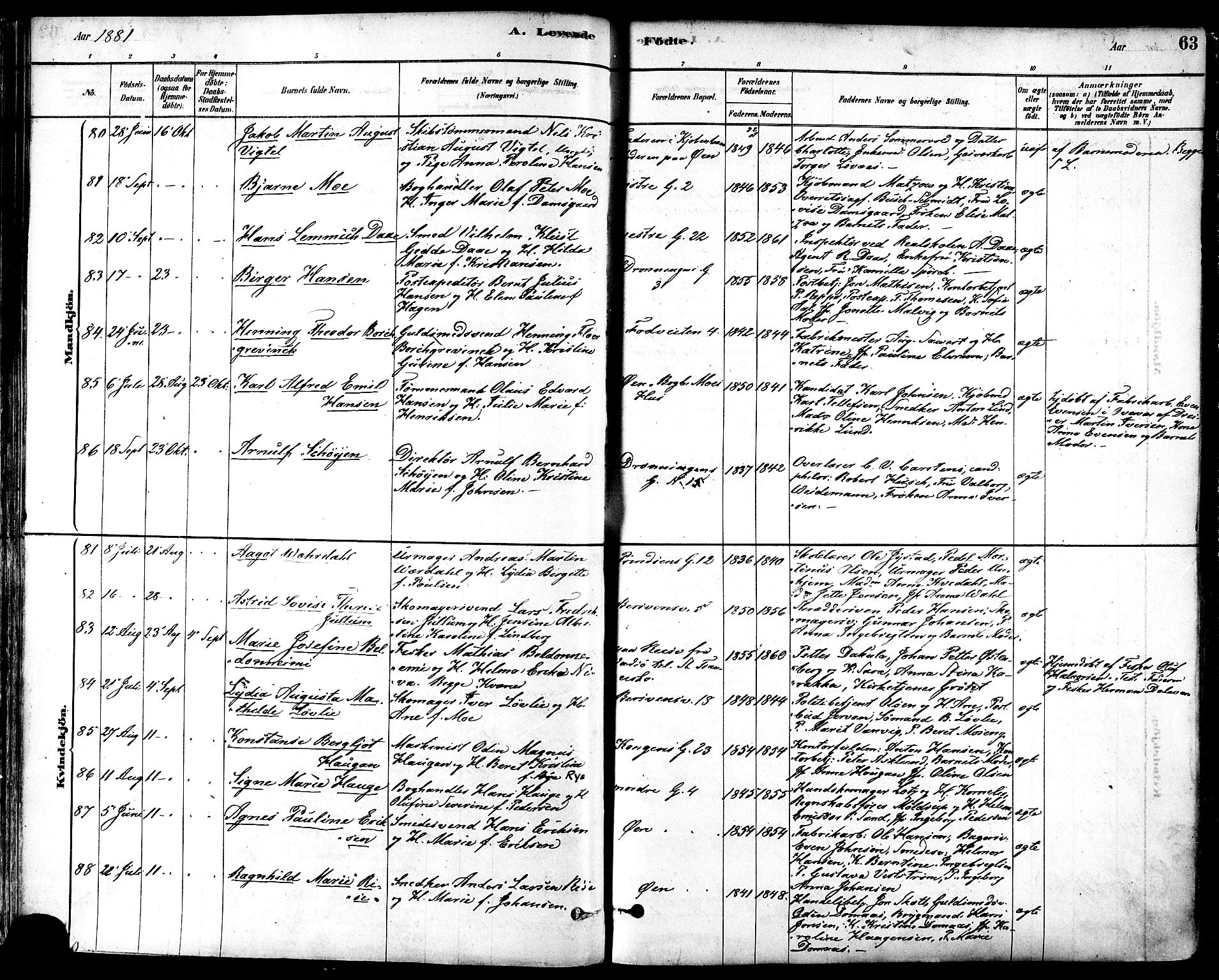 Ministerialprotokoller, klokkerbøker og fødselsregistre - Sør-Trøndelag, SAT/A-1456/601/L0057: Parish register (official) no. 601A25, 1877-1891, p. 63