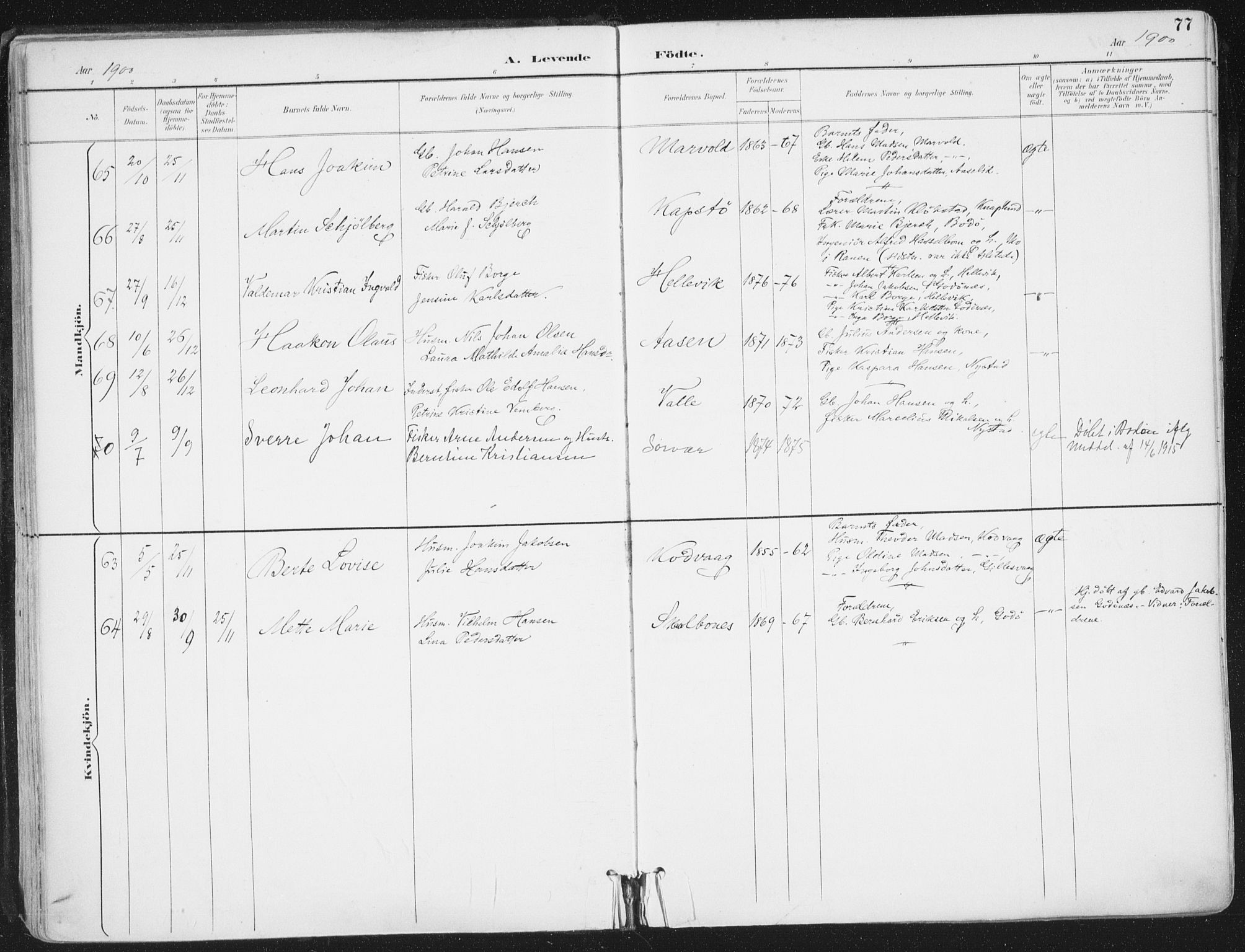 Ministerialprotokoller, klokkerbøker og fødselsregistre - Nordland, AV/SAT-A-1459/802/L0055: Parish register (official) no. 802A02, 1894-1915, p. 77