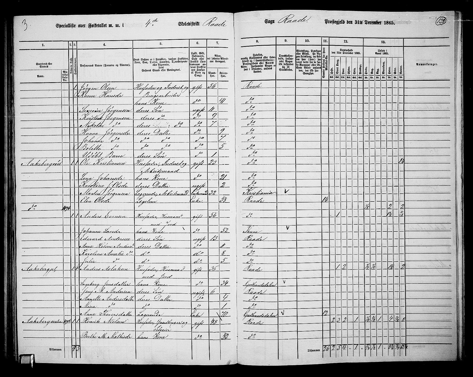 RA, 1865 census for Råde, 1865, p. 118