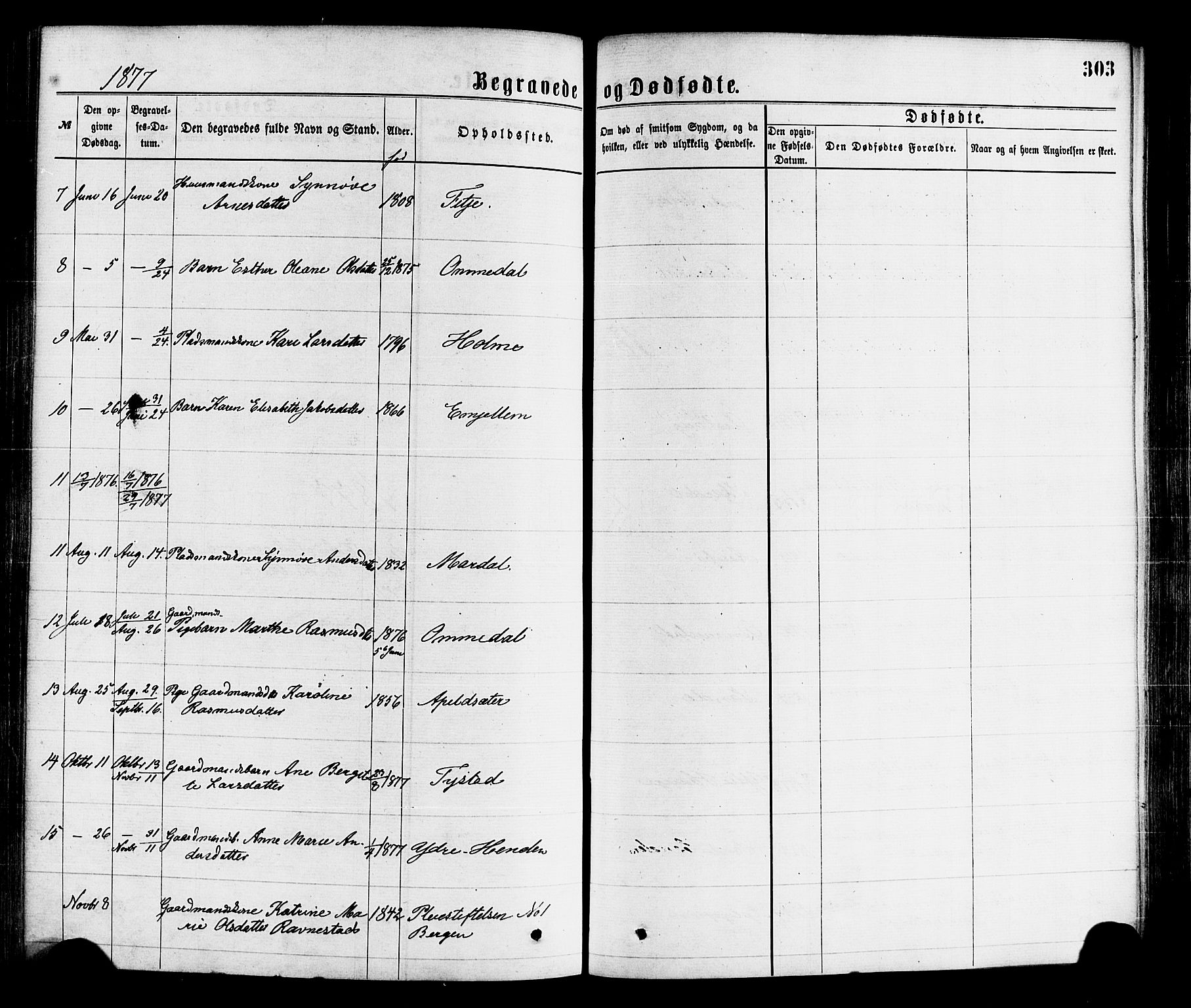 Gloppen sokneprestembete, SAB/A-80101/H/Haa/Haaa/L0010: Parish register (official) no. A 10, 1871-1884, p. 303