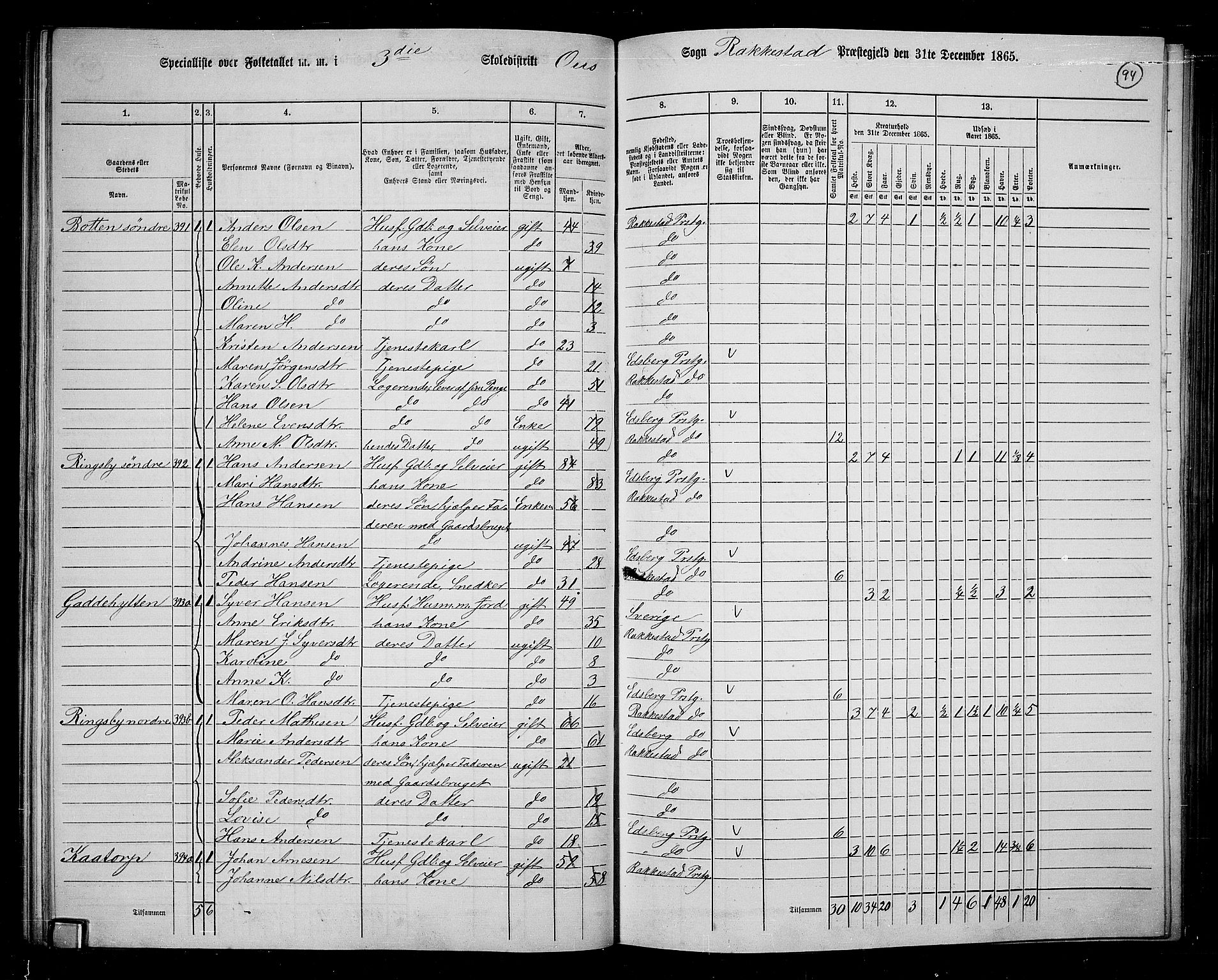 RA, 1865 census for Rakkestad, 1865, p. 93