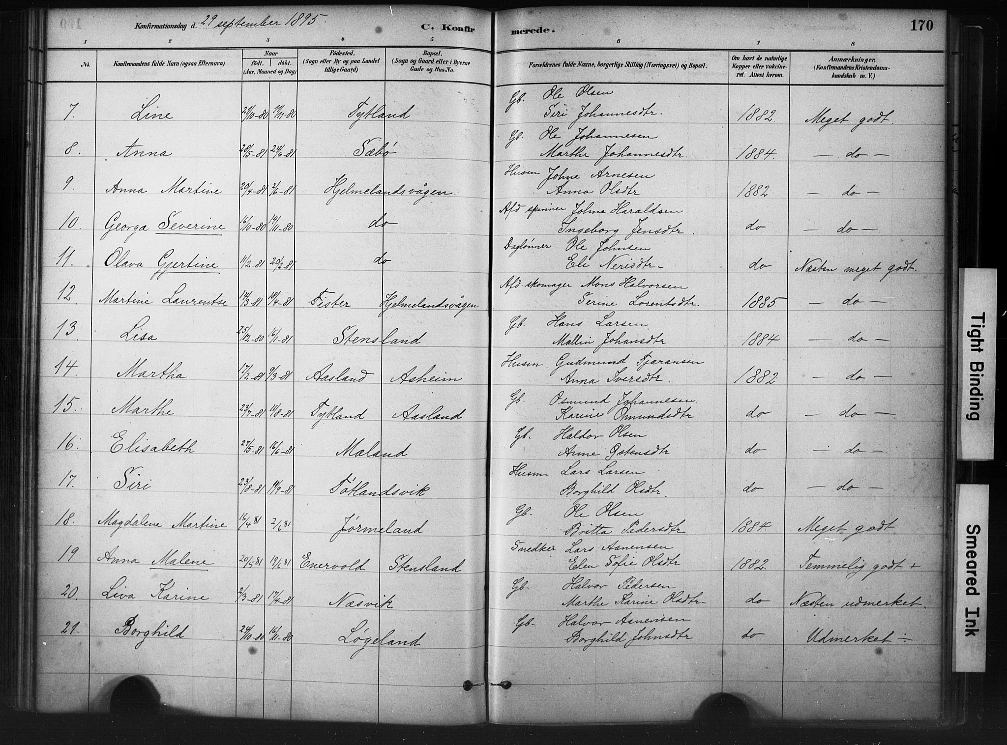 Hjelmeland sokneprestkontor, AV/SAST-A-101843/01/IV/L0014: Parish register (official) no. A 14, 1879-1900, p. 170