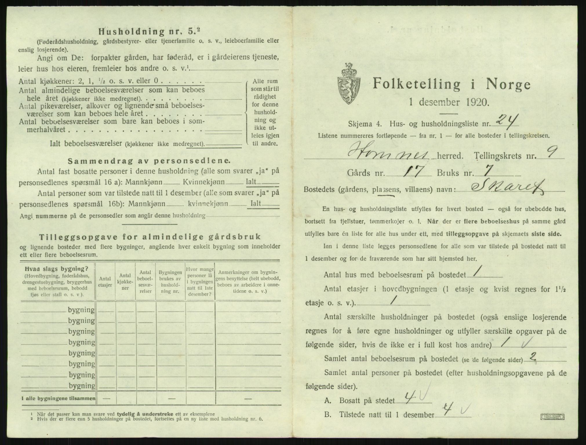 SAK, 1920 census for Hornnes, 1920, p. 397