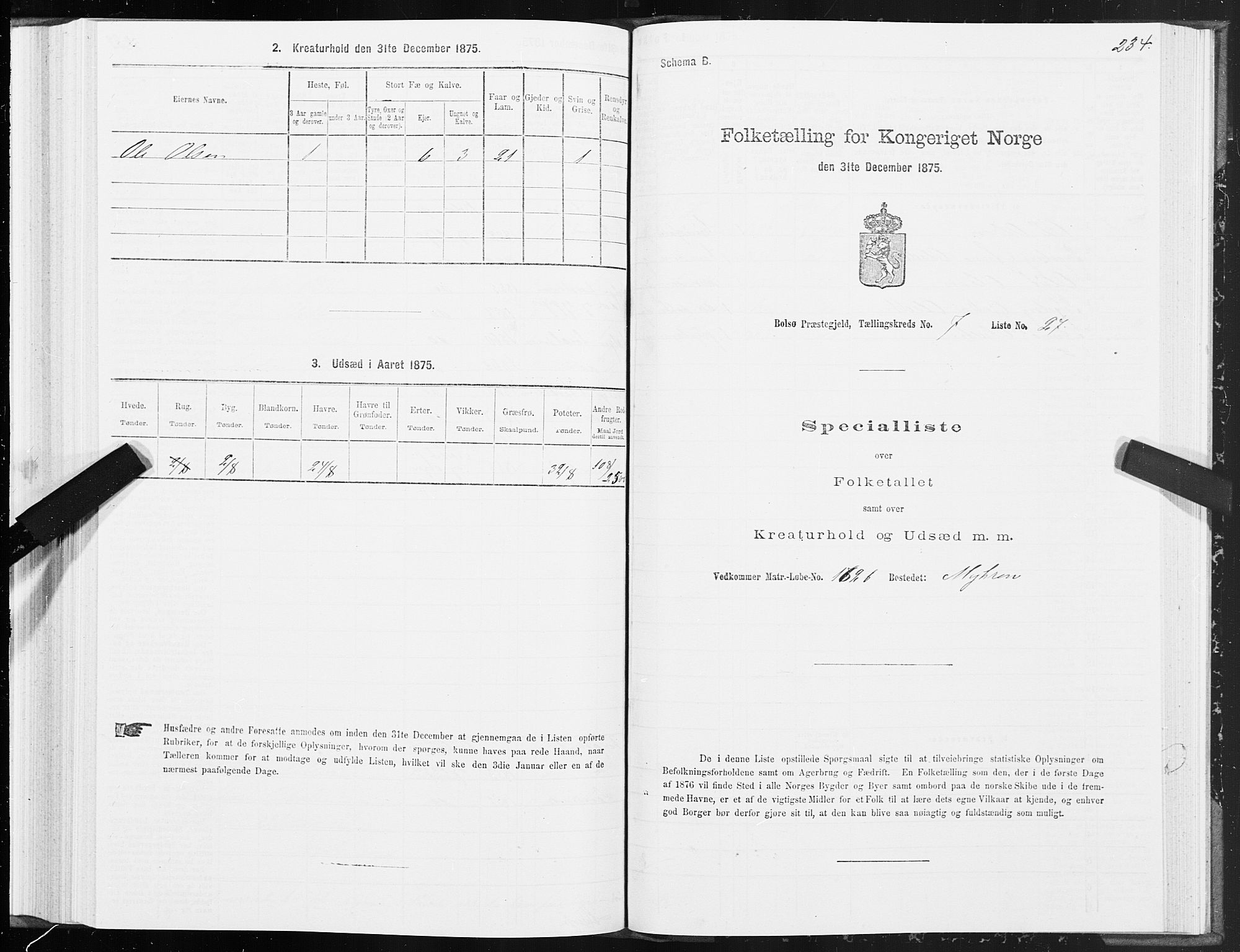 SAT, 1875 census for 1544P Bolsøy, 1875, p. 4234