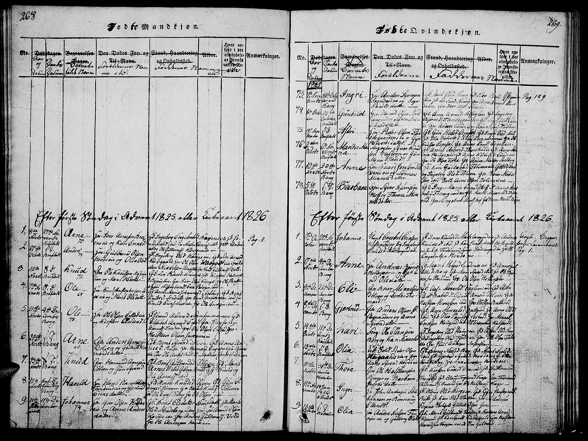 Sør-Aurdal prestekontor, SAH/PREST-128/H/Ha/Hab/L0001: Parish register (copy) no. 1, 1815-1826, p. 268-269