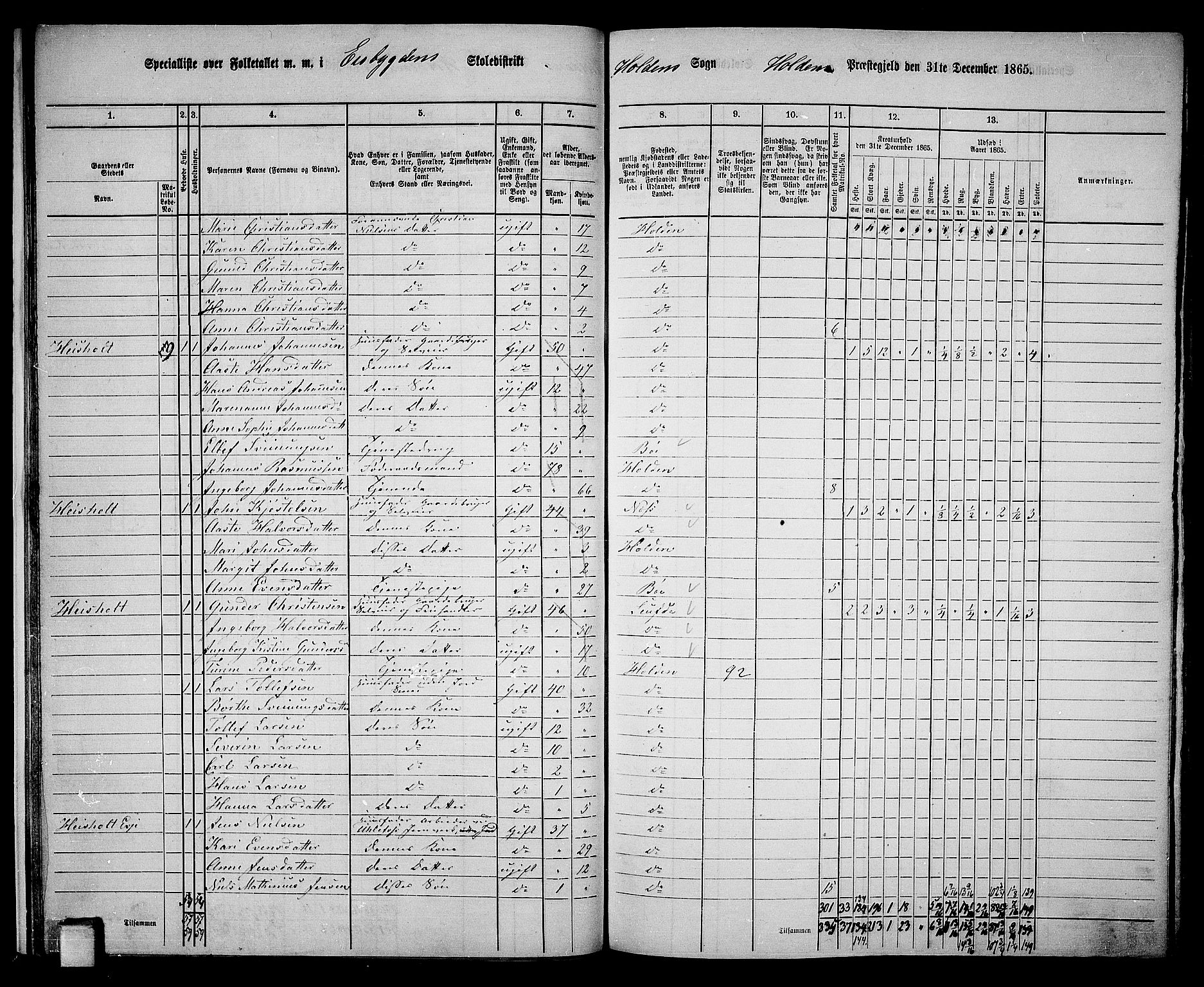 RA, 1865 census for Holla, 1865, p. 22