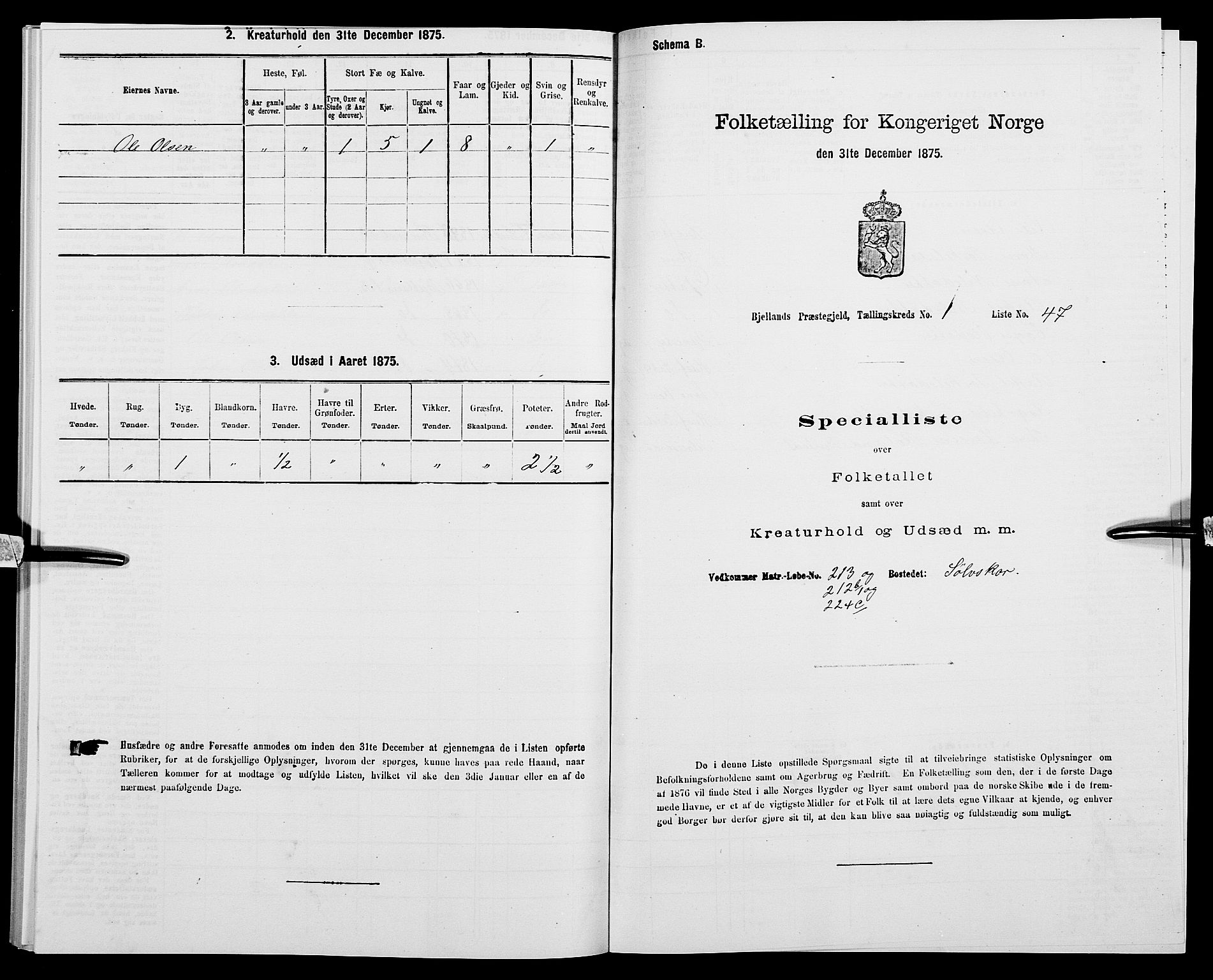 SAK, 1875 census for 1024P Bjelland, 1875, p. 127