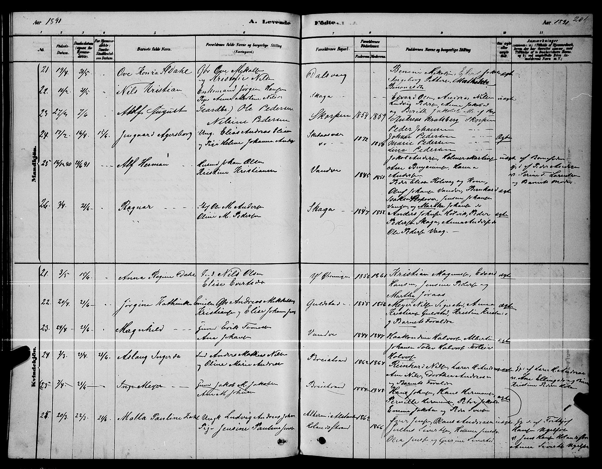 Ministerialprotokoller, klokkerbøker og fødselsregistre - Nordland, AV/SAT-A-1459/834/L0513: Parish register (copy) no. 834C04, 1877-1892, p. 201