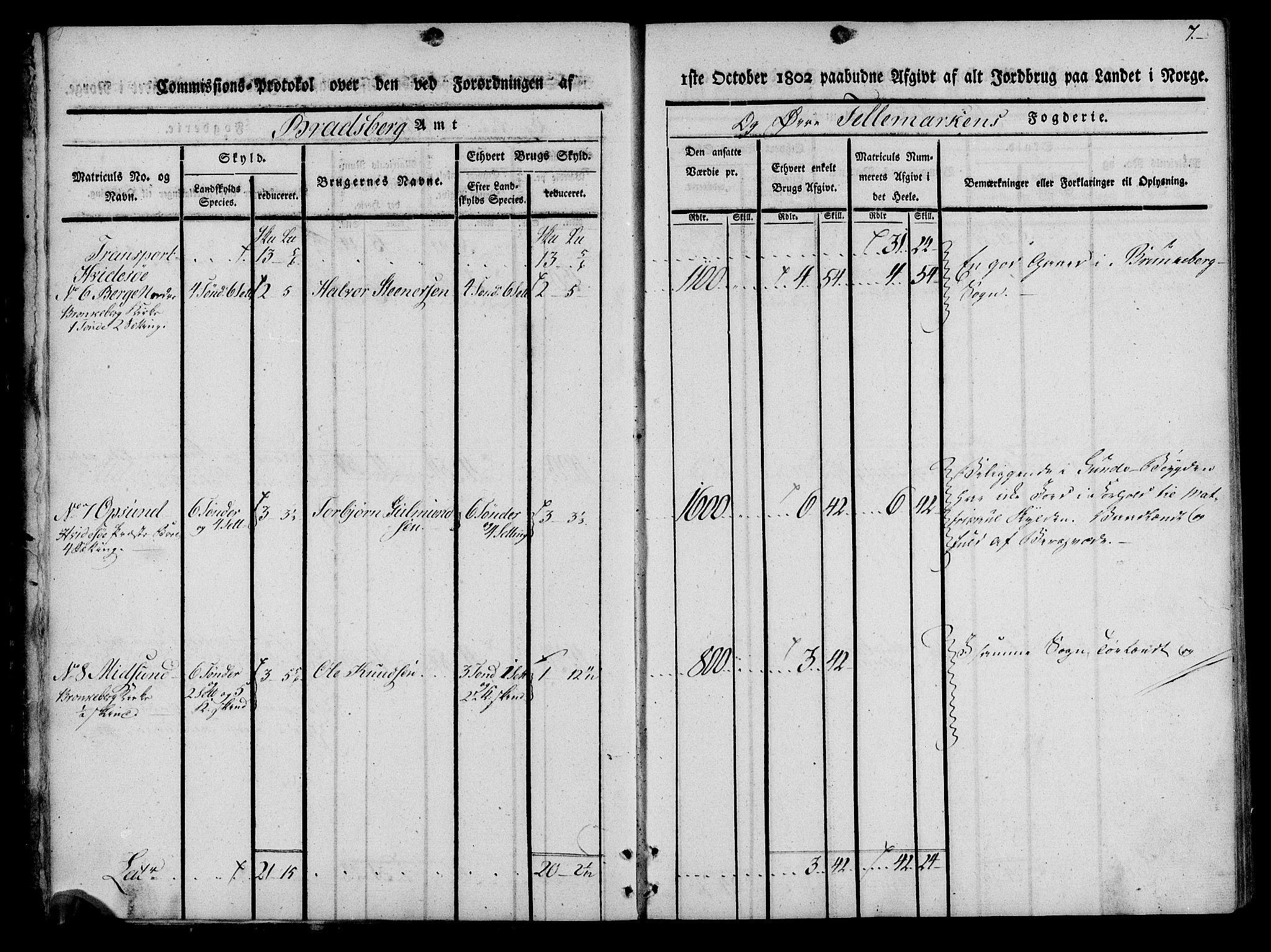 Rentekammeret inntil 1814, Realistisk ordnet avdeling, AV/RA-EA-4070/N/Ne/Nea/L0075: Øvre Telemarken fogderi. Kommisjonsprotokoll for fogderiets vestre del - Kviteseid, Vinje, Moland [):Fyresdal] og Lårdal prestegjeld., 1803, p. 7