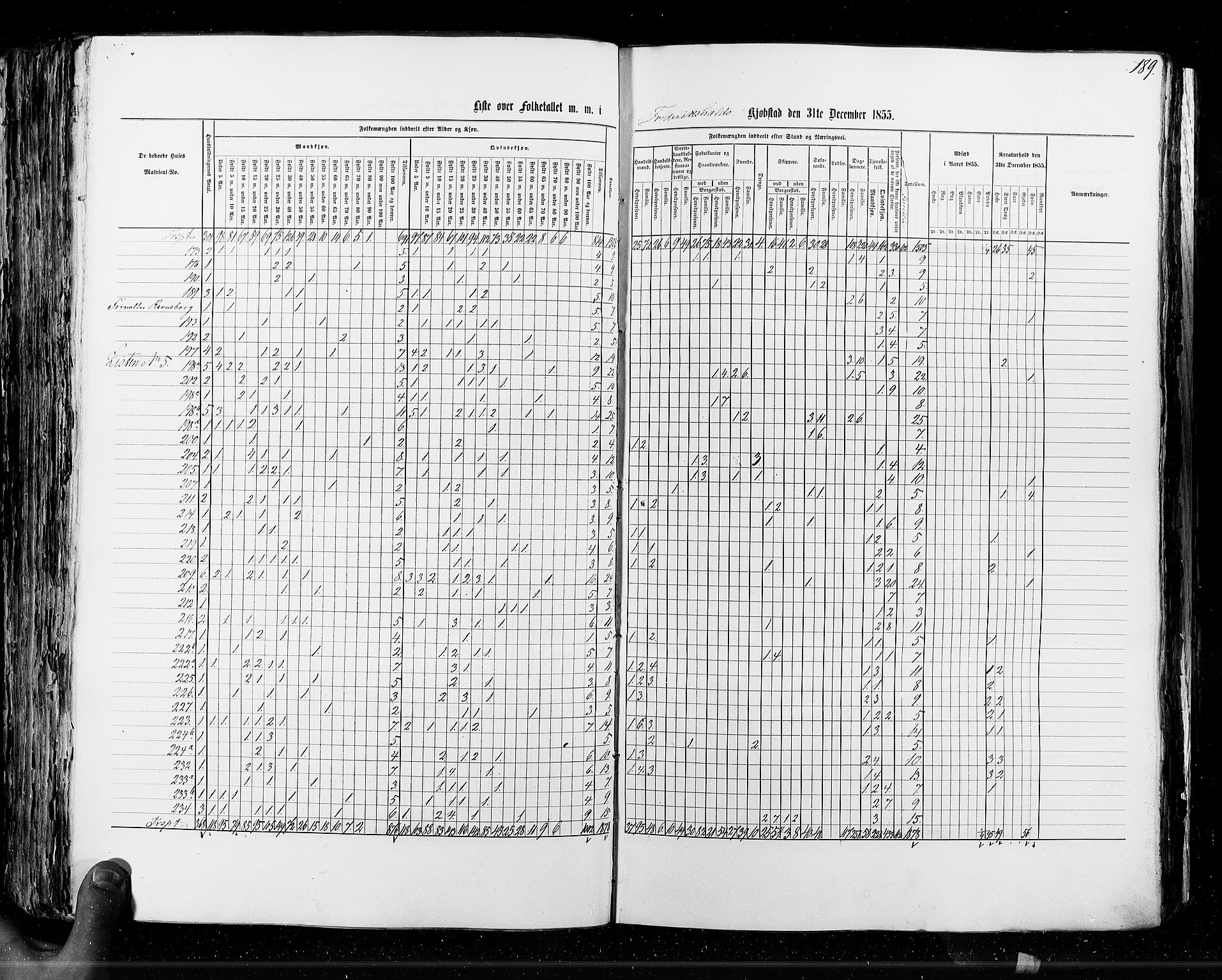 RA, Census 1855, vol. 7: Fredrikshald-Kragerø, 1855, p. 189