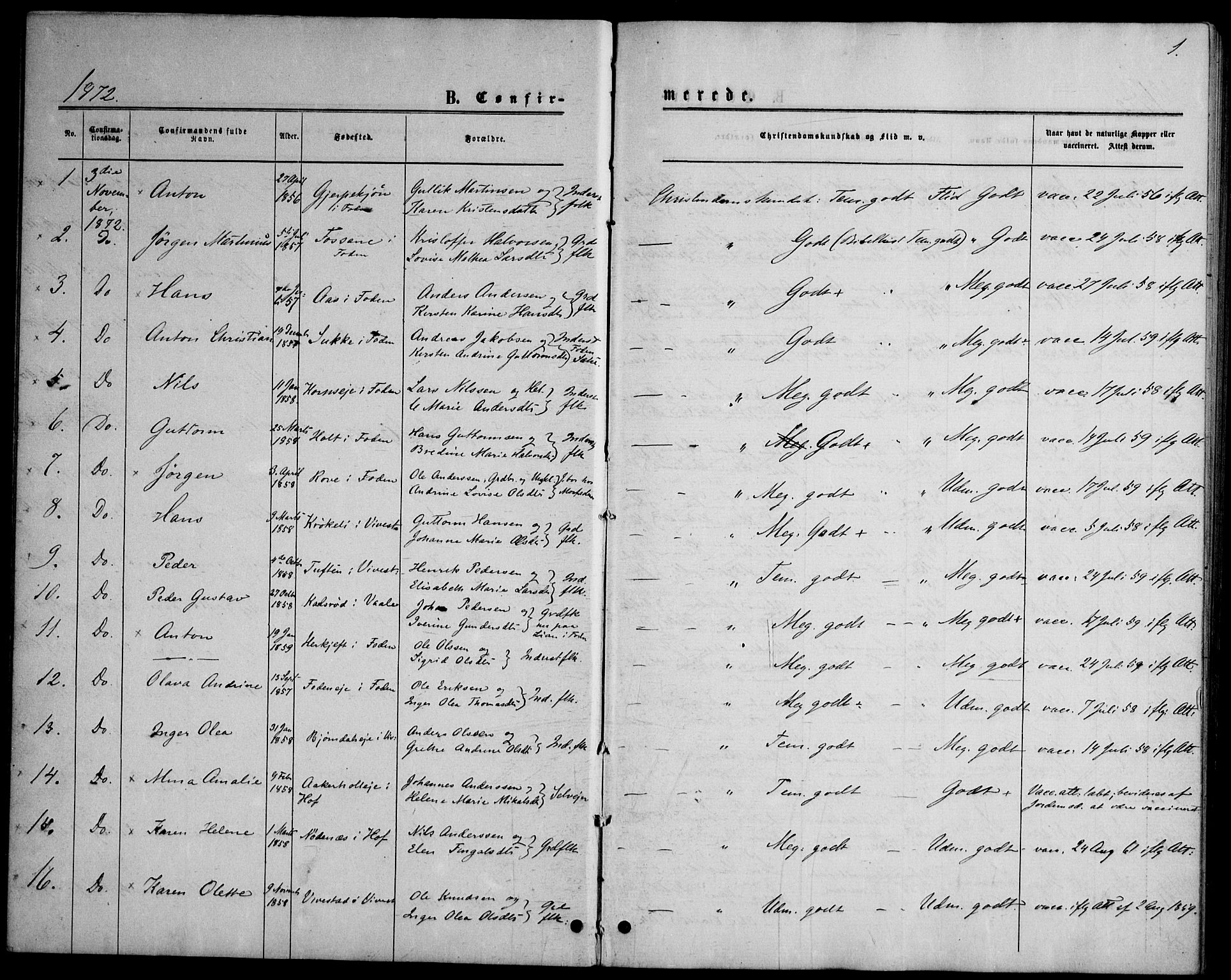 Ramnes kirkebøker, AV/SAKO-A-314/F/Fd/L0002: Curate's parish register no. IV 2, 1872-1886, p. 1