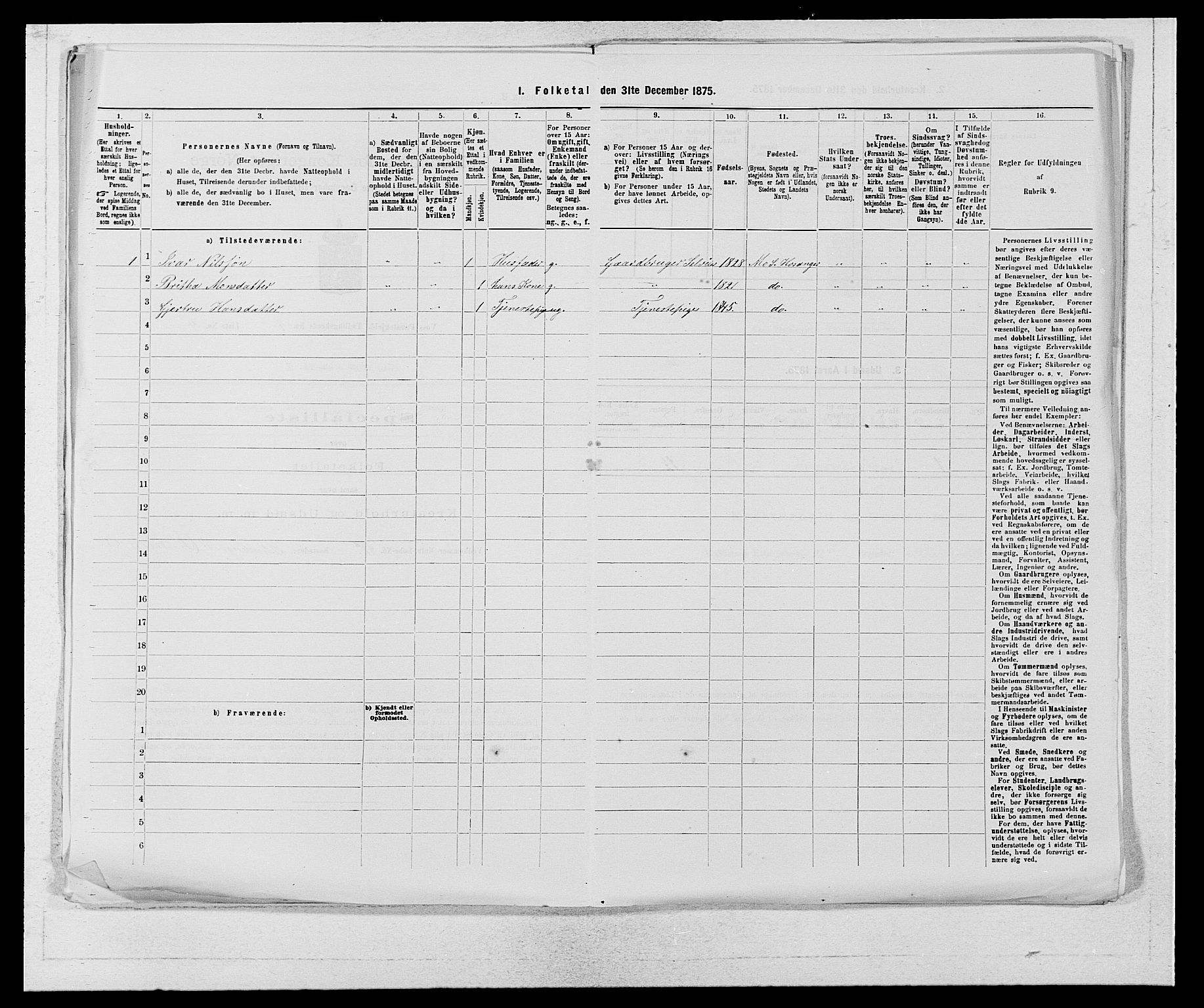 SAB, 1875 census for 1235P Voss, 1875, p. 2007