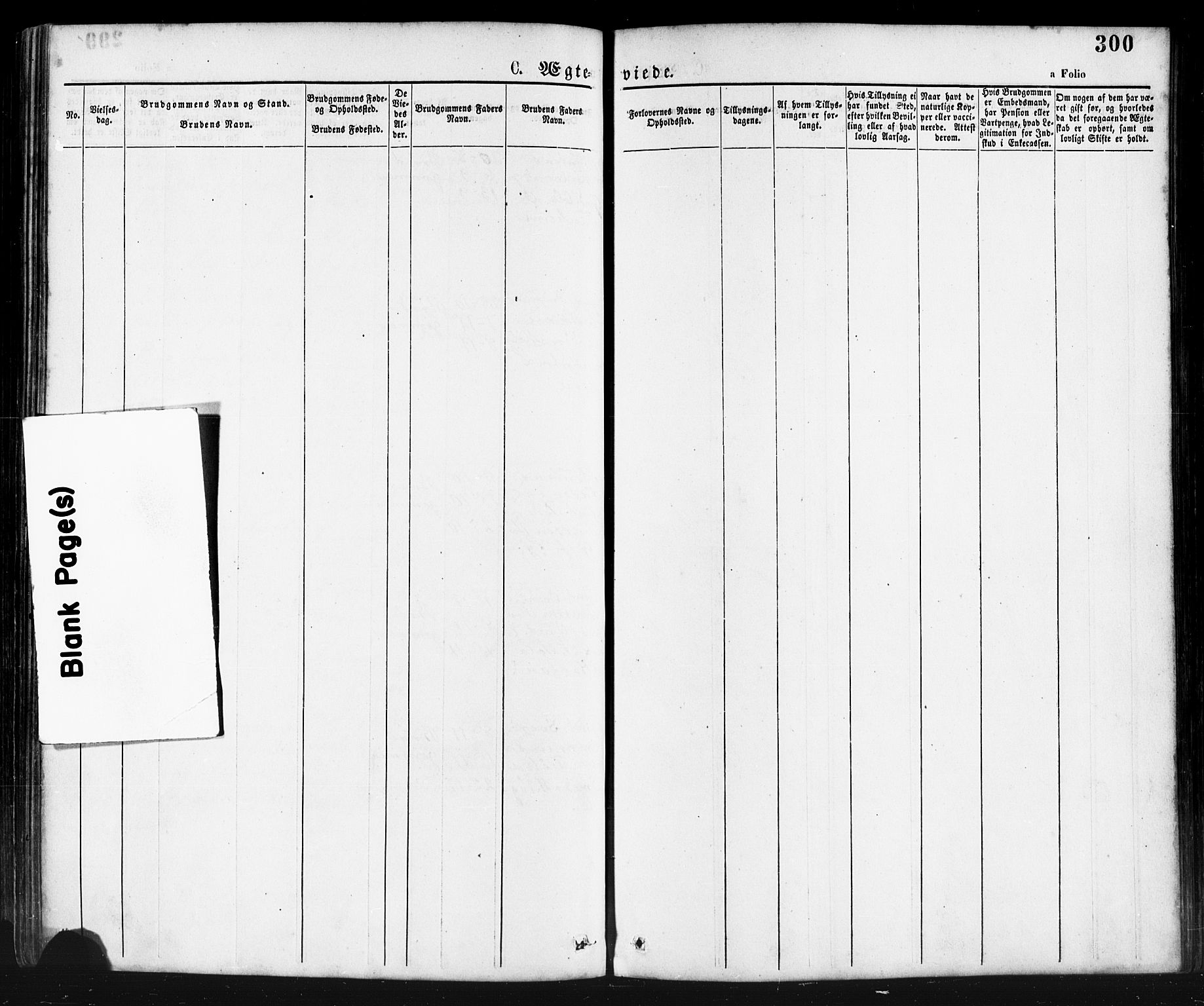 Klepp sokneprestkontor, AV/SAST-A-101803/001/3/30BA/L0006: Parish register (official) no. A 6, 1871-1885, p. 300