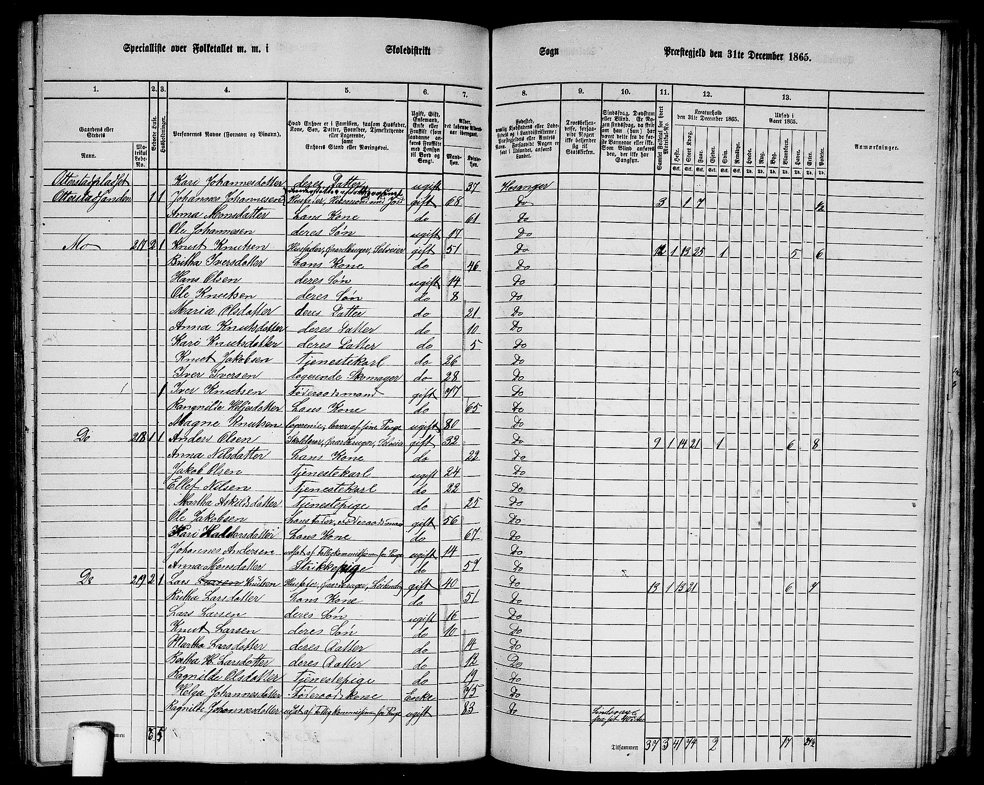 RA, 1865 census for Hosanger, 1865, p. 135