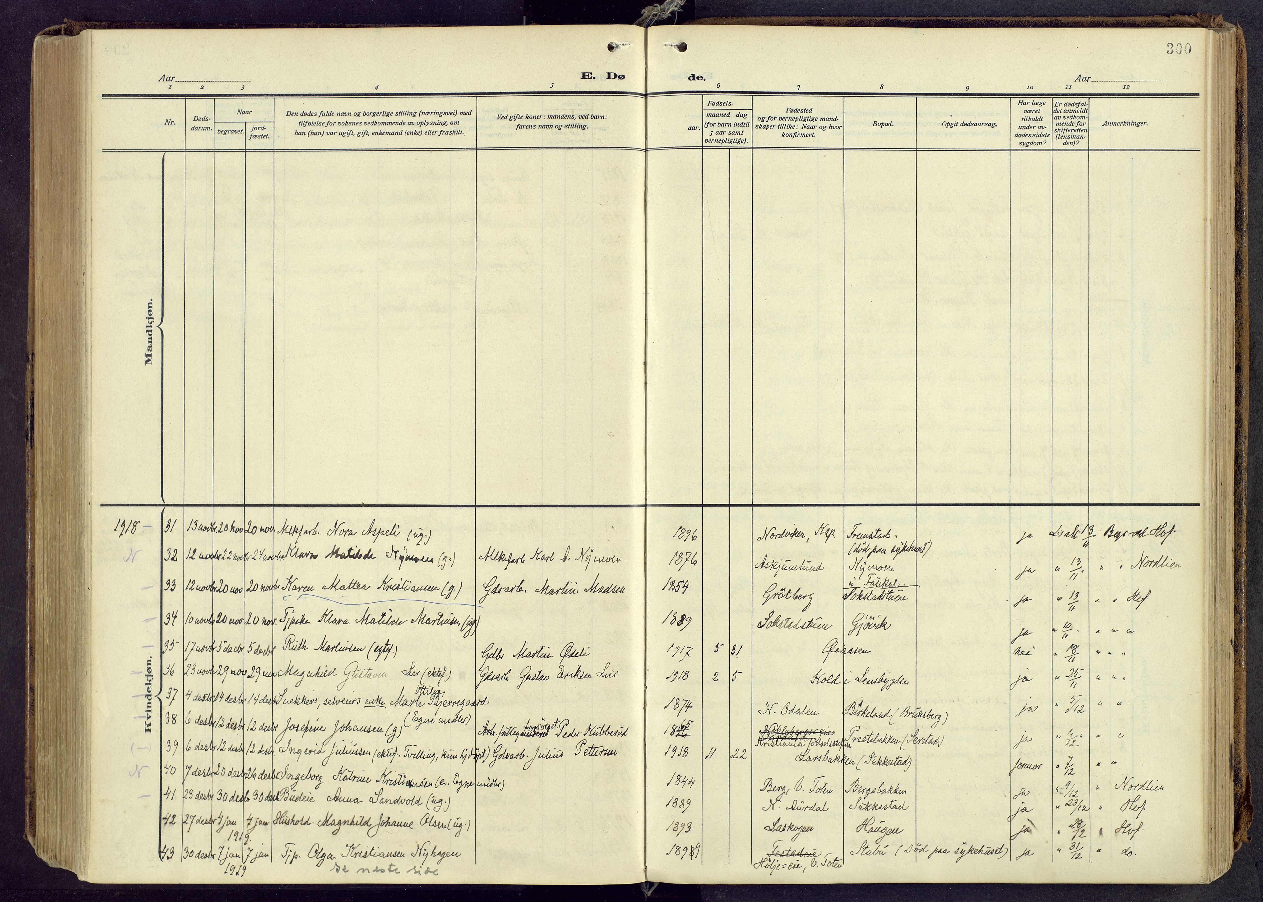 Østre Toten prestekontor, AV/SAH-PREST-104/H/Ha/Haa/L0010: Parish register (official) no. 10, 1910-1920, p. 300