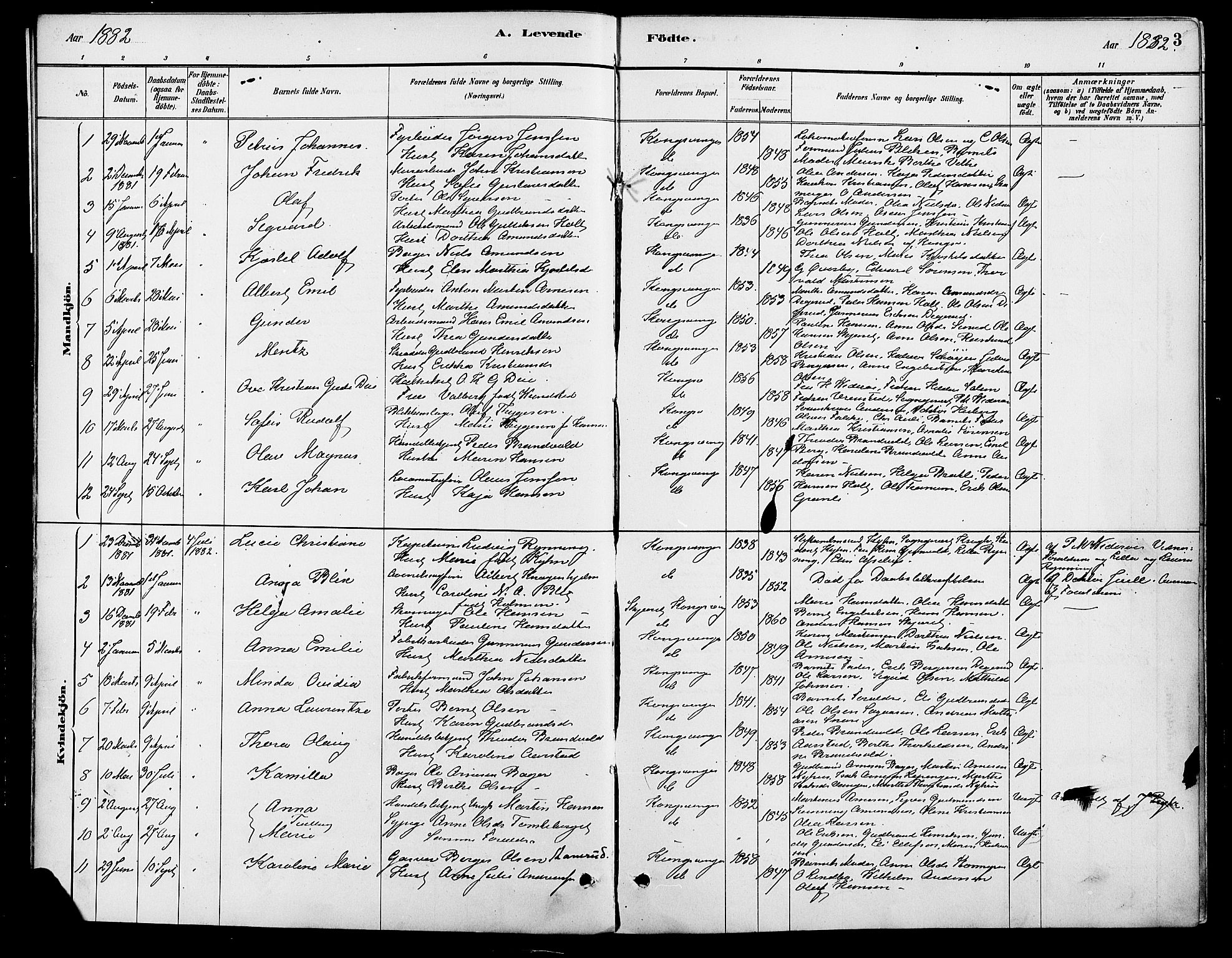 Vinger prestekontor, SAH/PREST-024/H/Ha/Haa/L0013: Parish register (official) no. 13, 1881-1897, p. 3