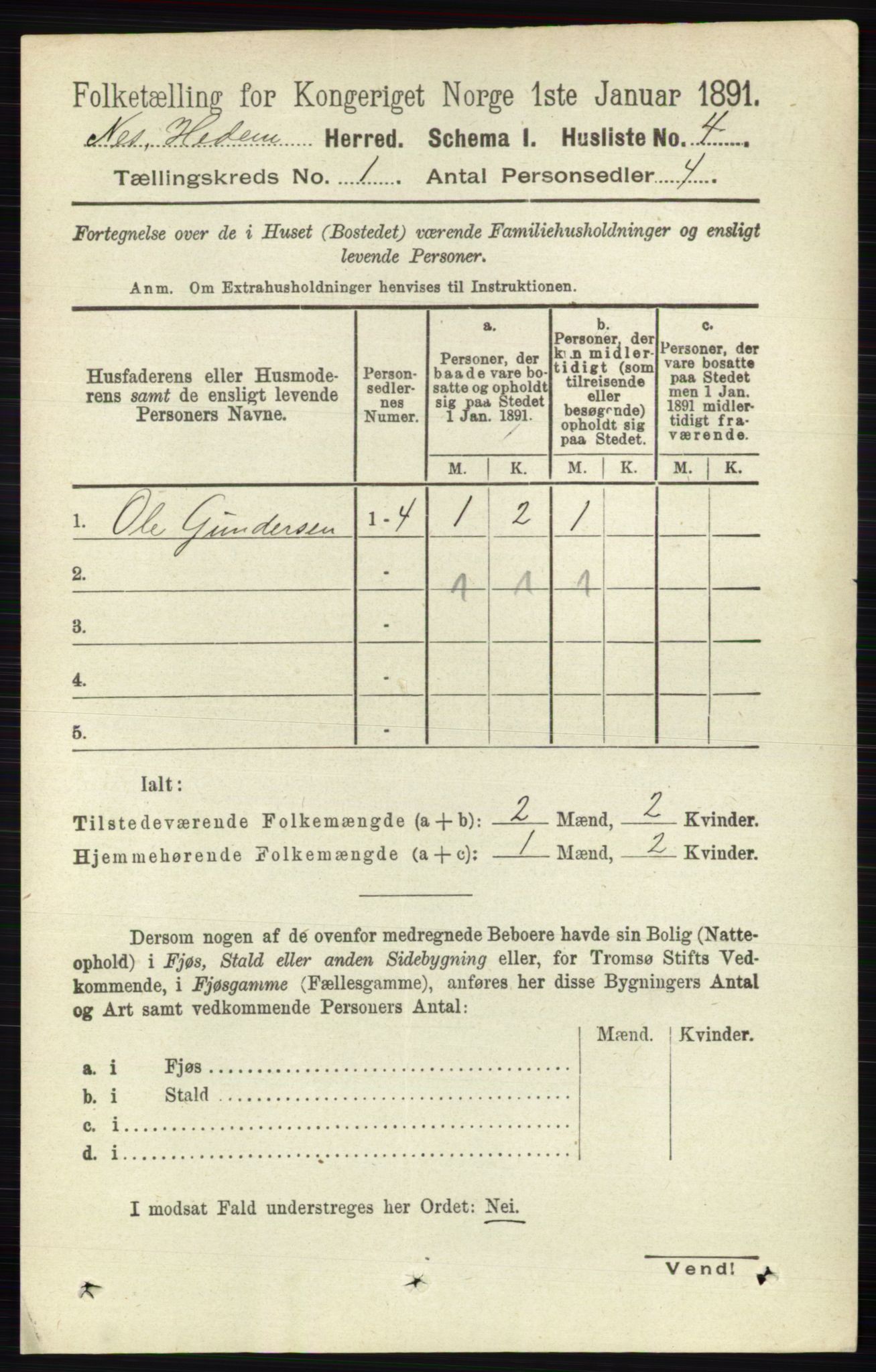 RA, 1891 census for 0411 Nes, 1891, p. 29