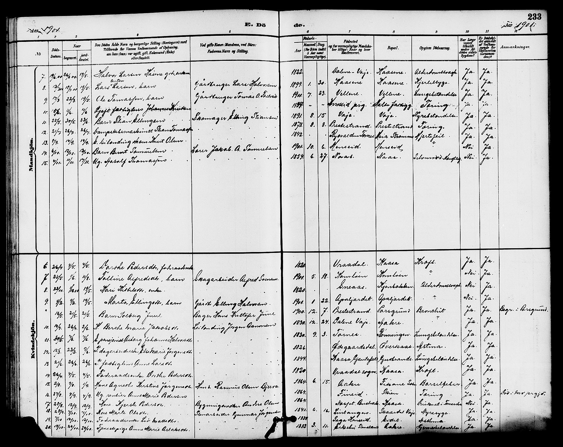 Drangedal kirkebøker, SAKO/A-258/G/Ga/L0003: Parish register (copy) no. I 3, 1887-1906, p. 233