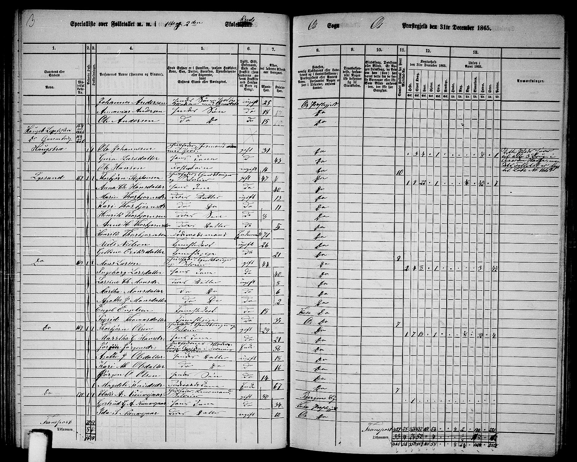 RA, 1865 census for Os, 1865, p. 80