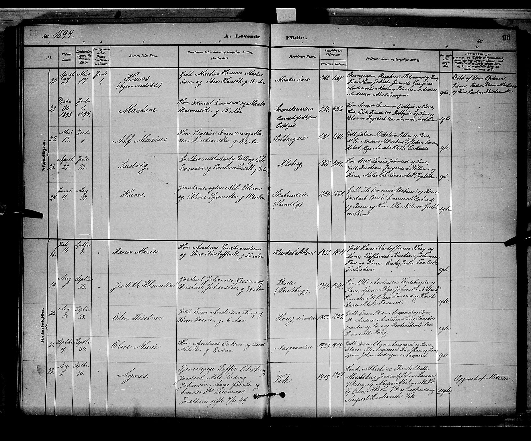 Stange prestekontor, AV/SAH-PREST-002/L/L0008: Parish register (copy) no. 8, 1882-1895, p. 96