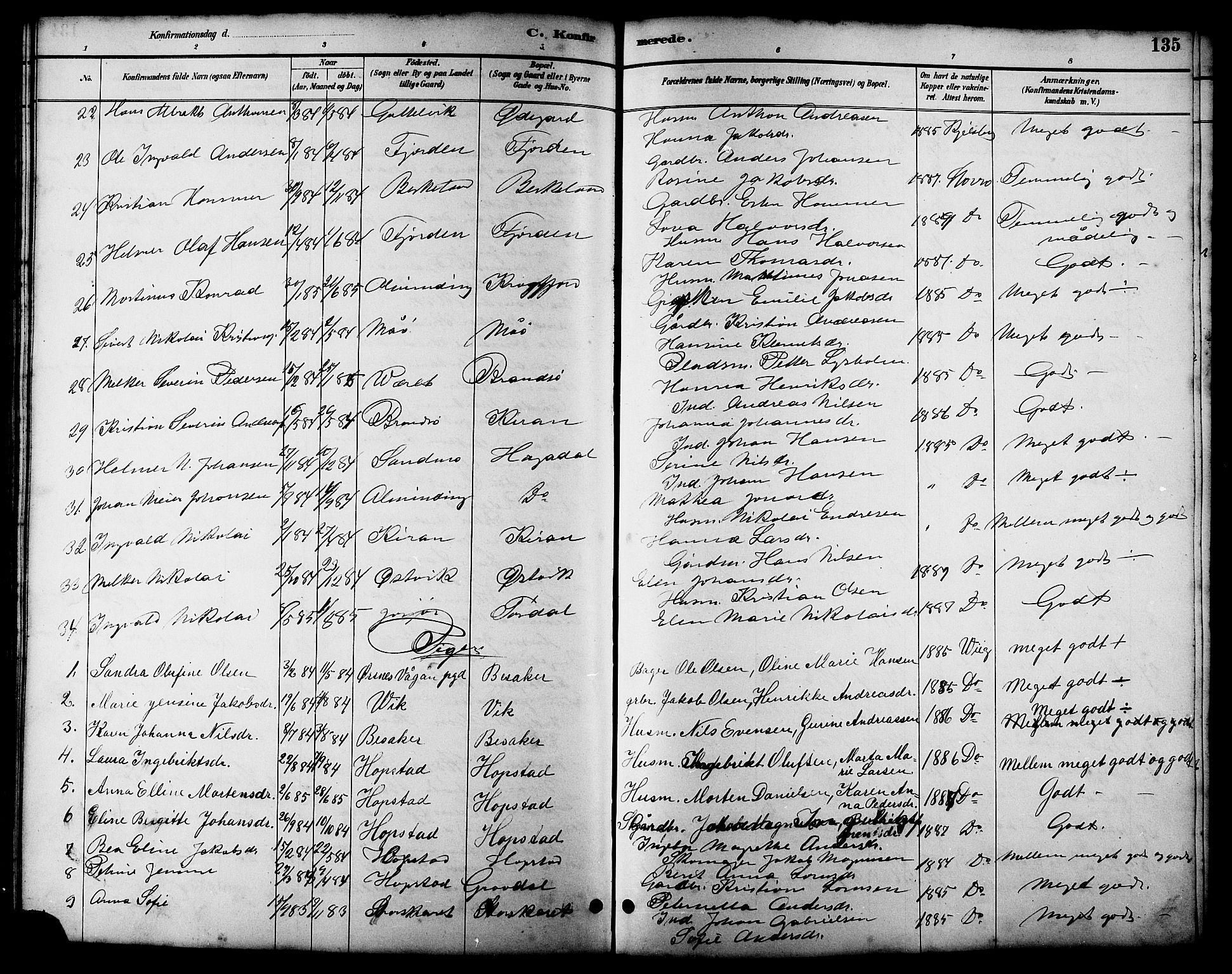 Ministerialprotokoller, klokkerbøker og fødselsregistre - Sør-Trøndelag, SAT/A-1456/657/L0716: Parish register (copy) no. 657C03, 1889-1904, p. 135