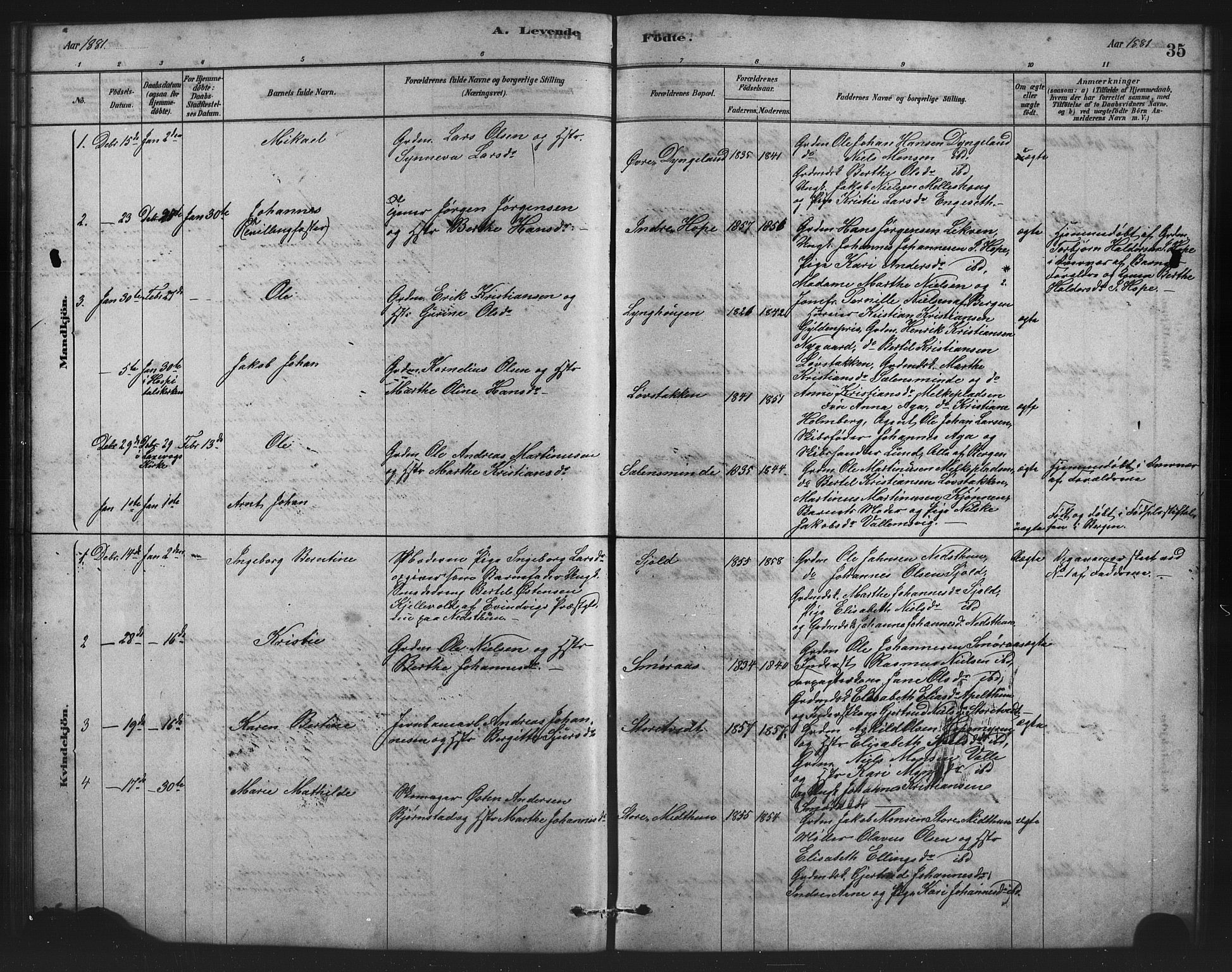 Birkeland Sokneprestembete, SAB/A-74601/H/Hab: Parish register (copy) no. A 3, 1877-1887, p. 35