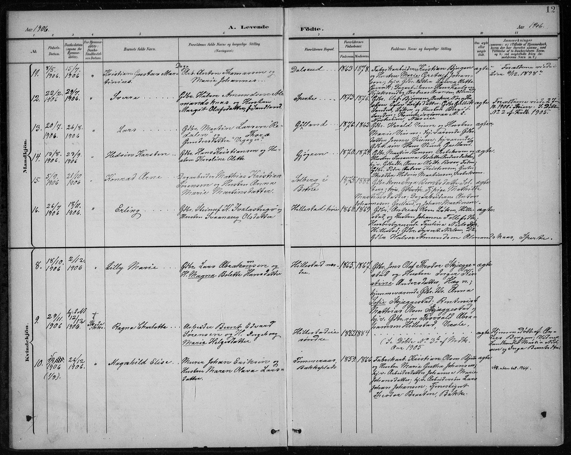 Botne kirkebøker, AV/SAKO-A-340/F/Fb/L0002: Parish register (official) no. II 2, 1902-1915, p. 12