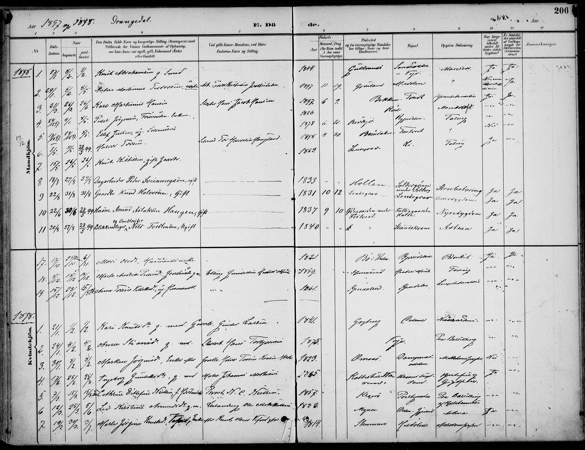 Drangedal kirkebøker, SAKO/A-258/F/Fa/L0012: Parish register (official) no. 12, 1895-1905, p. 206