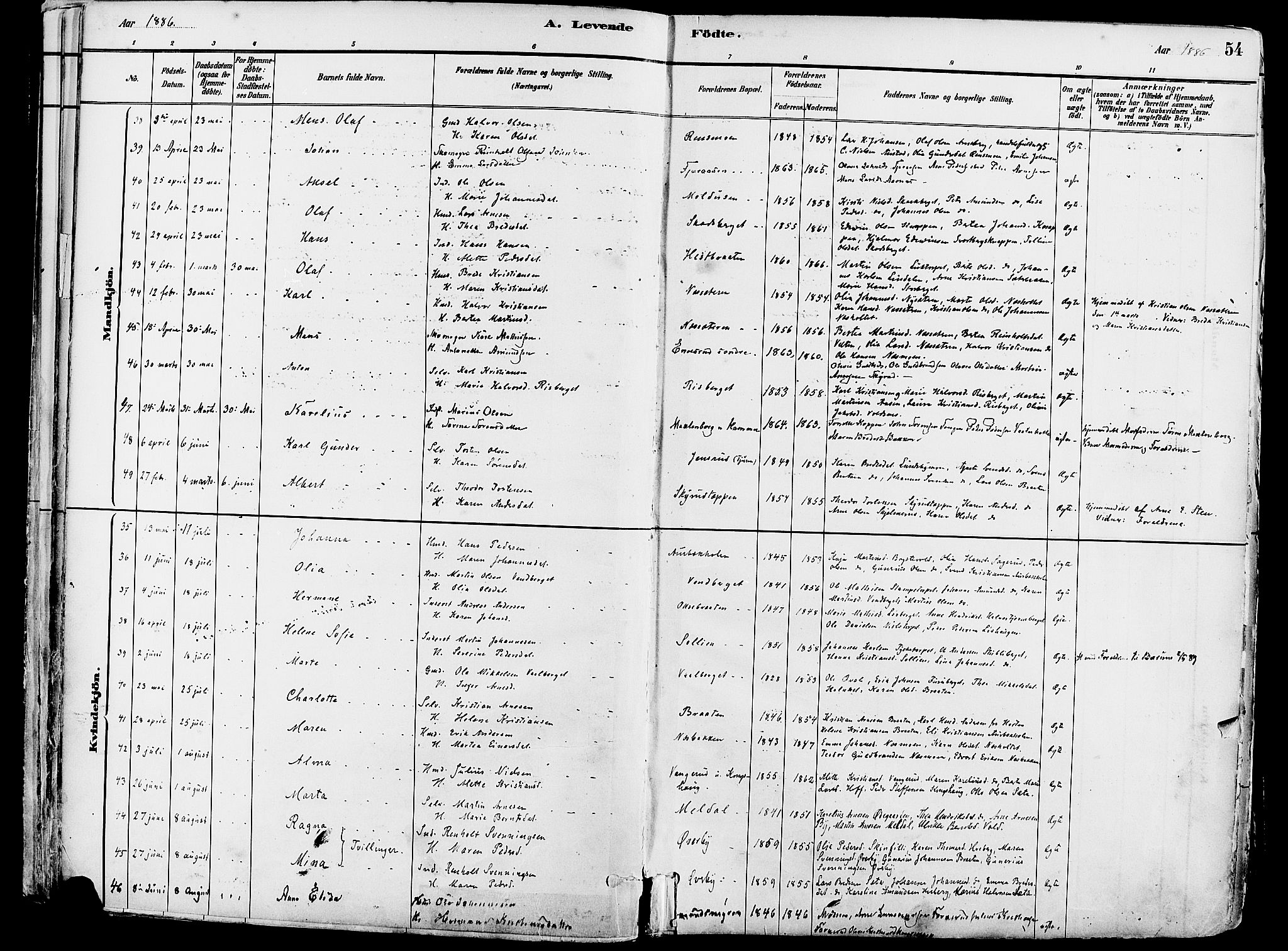 Grue prestekontor, AV/SAH-PREST-036/H/Ha/Haa/L0012: Parish register (official) no. 12, 1881-1897, p. 54