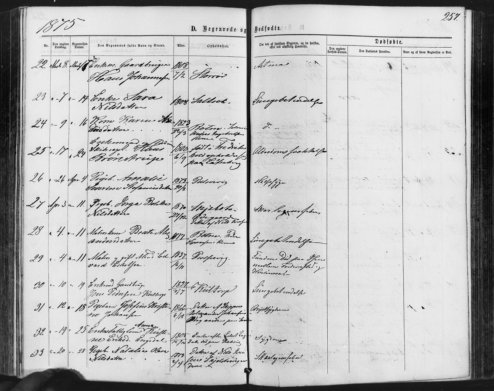 Hvaler prestekontor Kirkebøker, AV/SAO-A-2001/F/Fa/L0007: Parish register (official) no. I 7, 1864-1878, p. 257