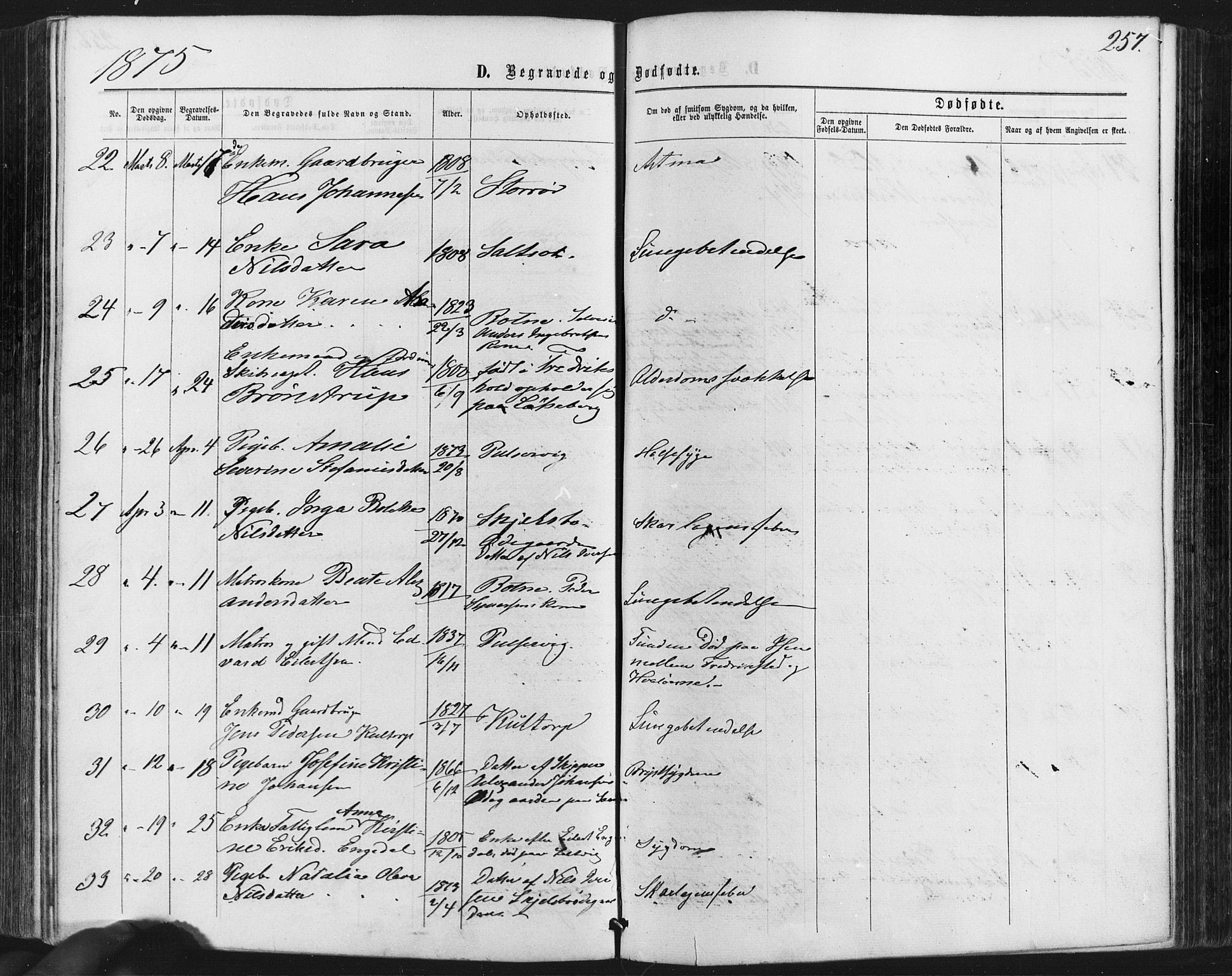 Hvaler prestekontor Kirkebøker, SAO/A-2001/F/Fa/L0007: Parish register (official) no. I 7, 1864-1878, p. 257