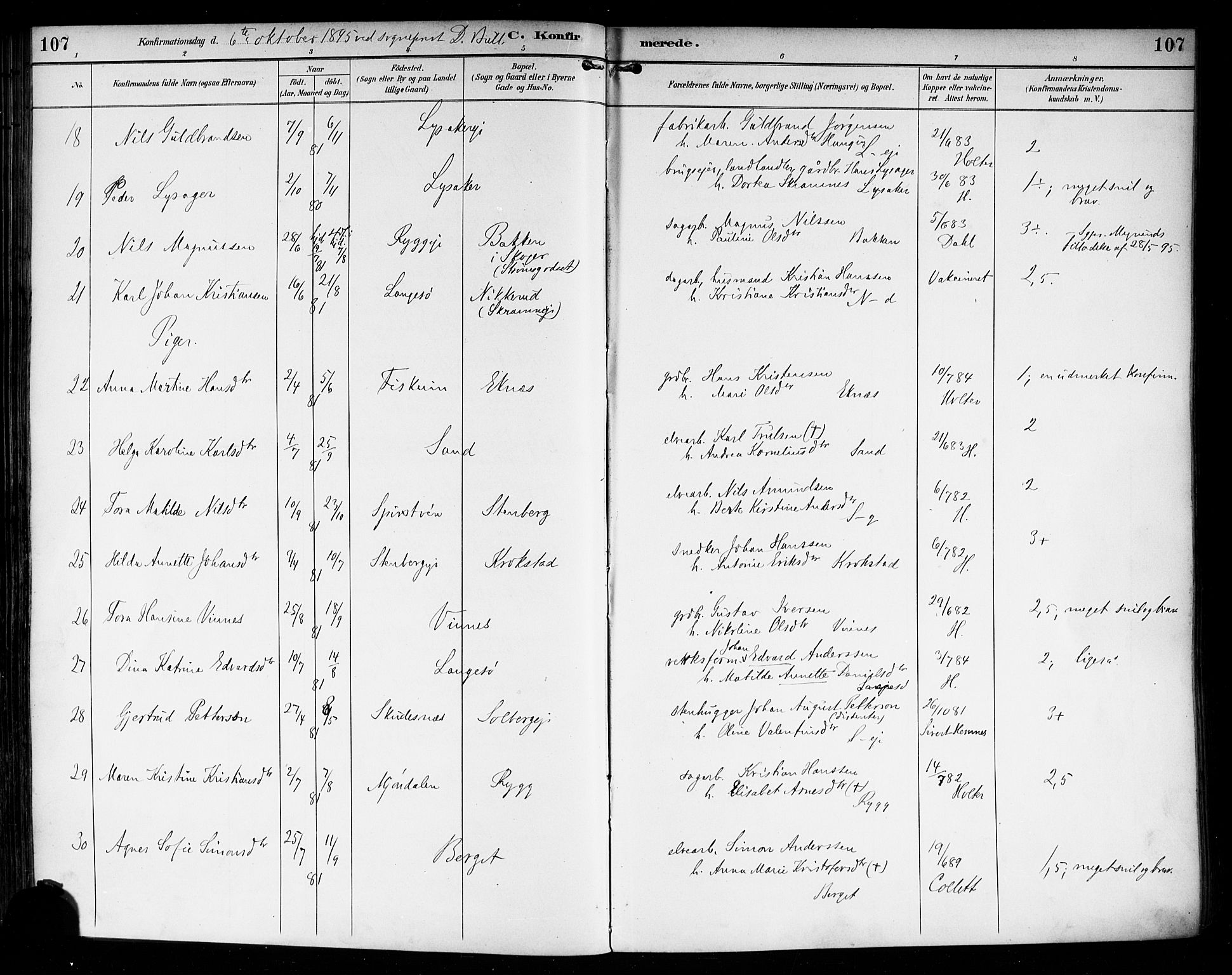 Nedre Eiker kirkebøker, AV/SAKO-A-612/F/Fa/L0004: Parish register (official) no. 4, 1893-1898, p. 107