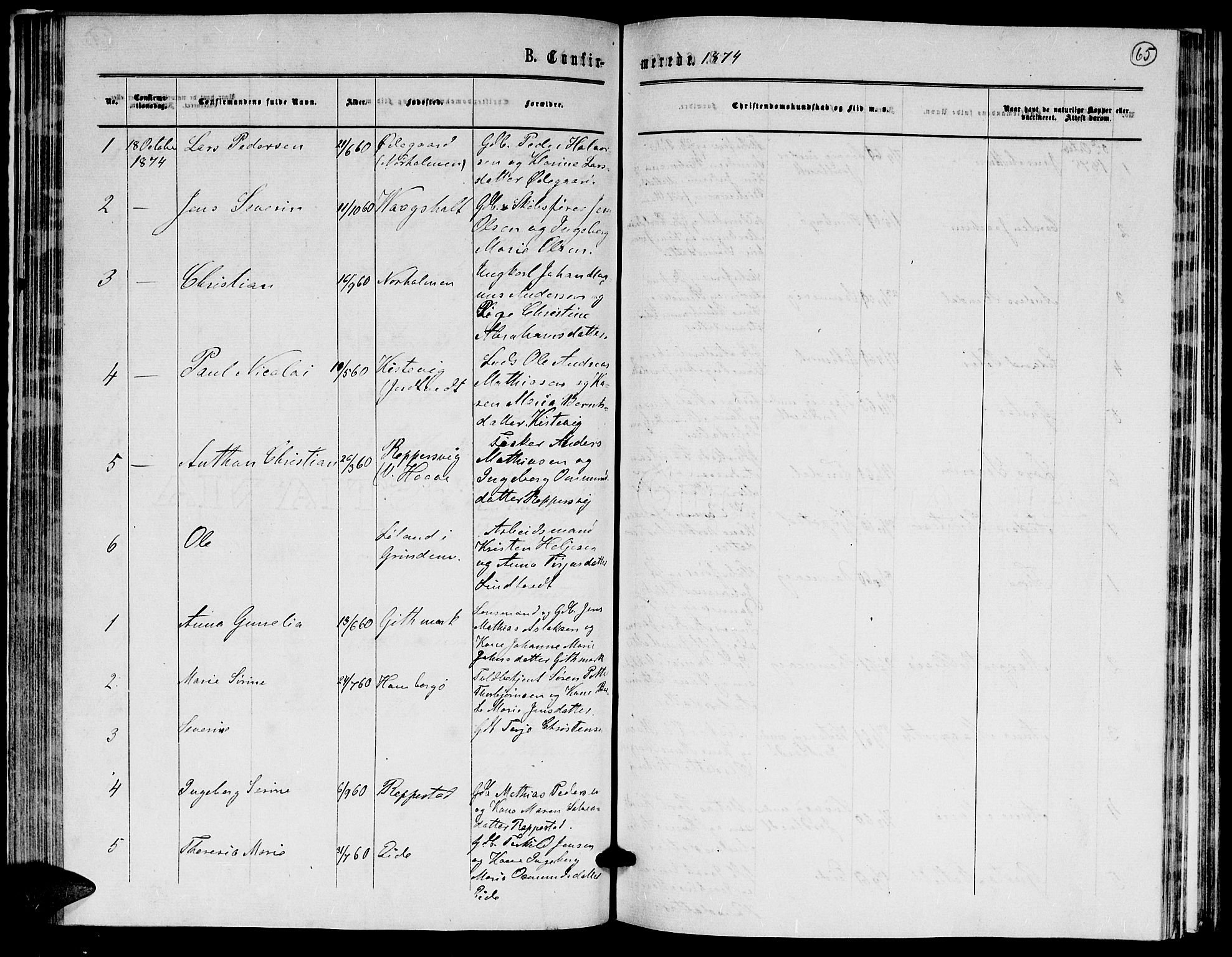 Hommedal sokneprestkontor, AV/SAK-1111-0023/F/Fb/Fba/L0003: Parish register (copy) no. B 3, 1863-1884, p. 65