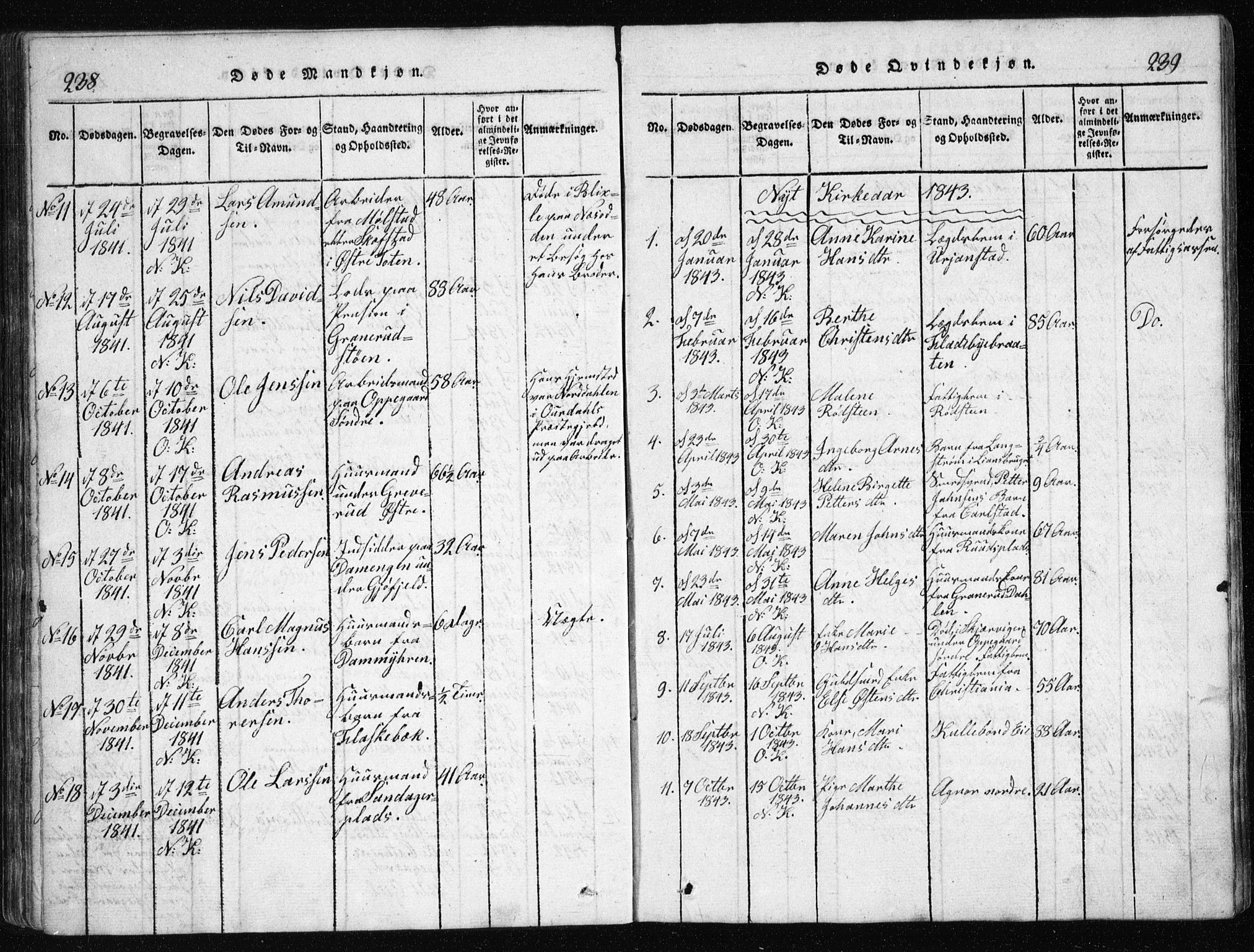 Nesodden prestekontor Kirkebøker, AV/SAO-A-10013/G/Ga/L0001: Parish register (copy) no. I 1, 1814-1847, p. 238-239