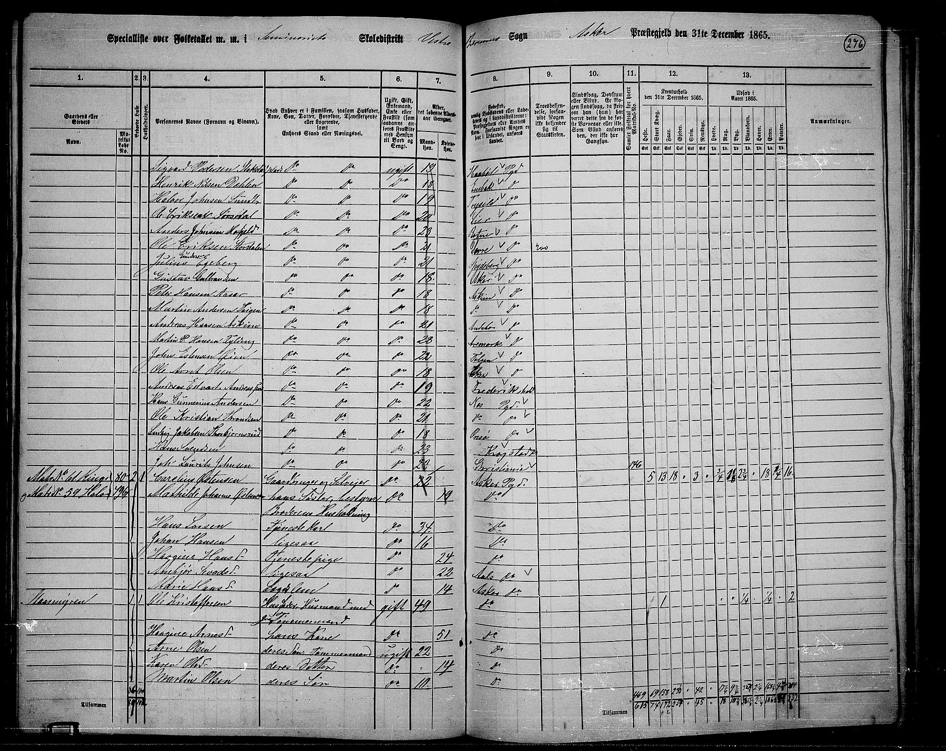 RA, 1865 census for Asker, 1865, p. 264