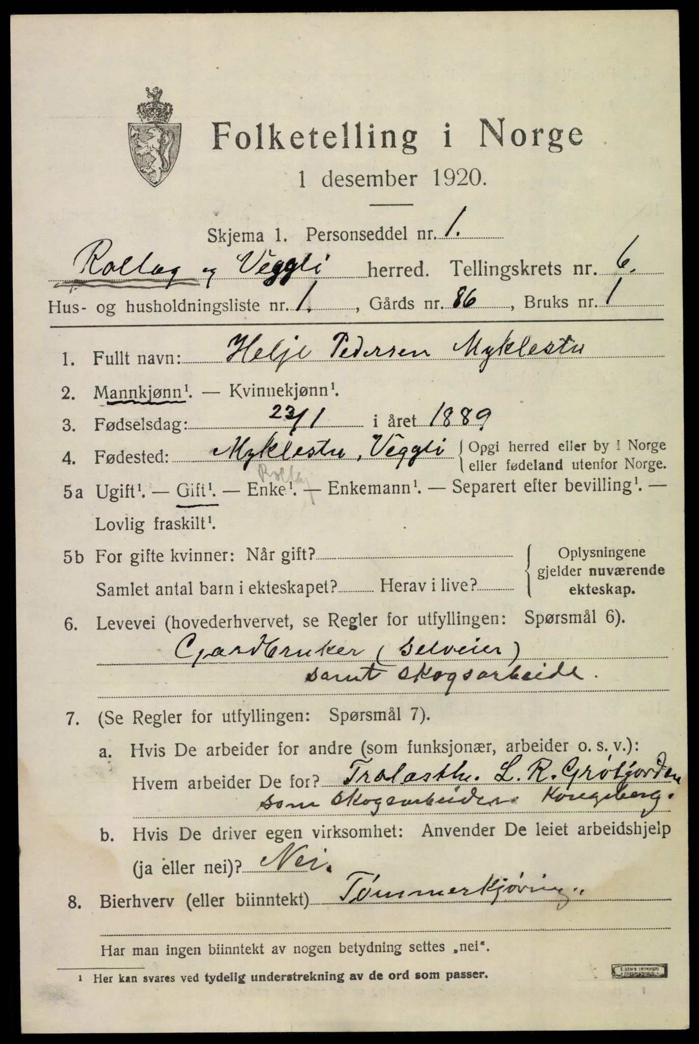 SAKO, 1920 census for Rollag, 1920, p. 2266