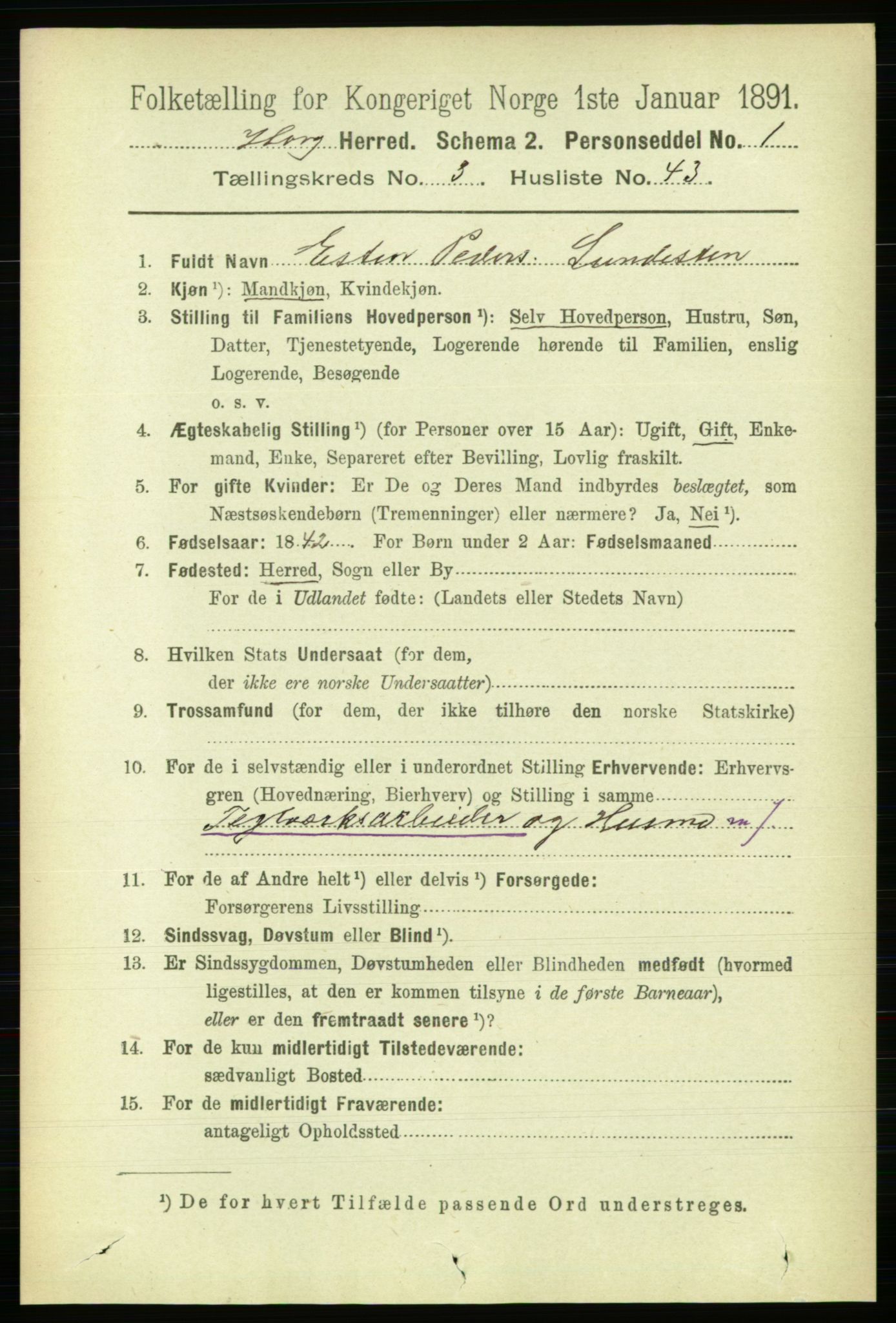 RA, 1891 census for 1650 Horg, 1891, p. 1315