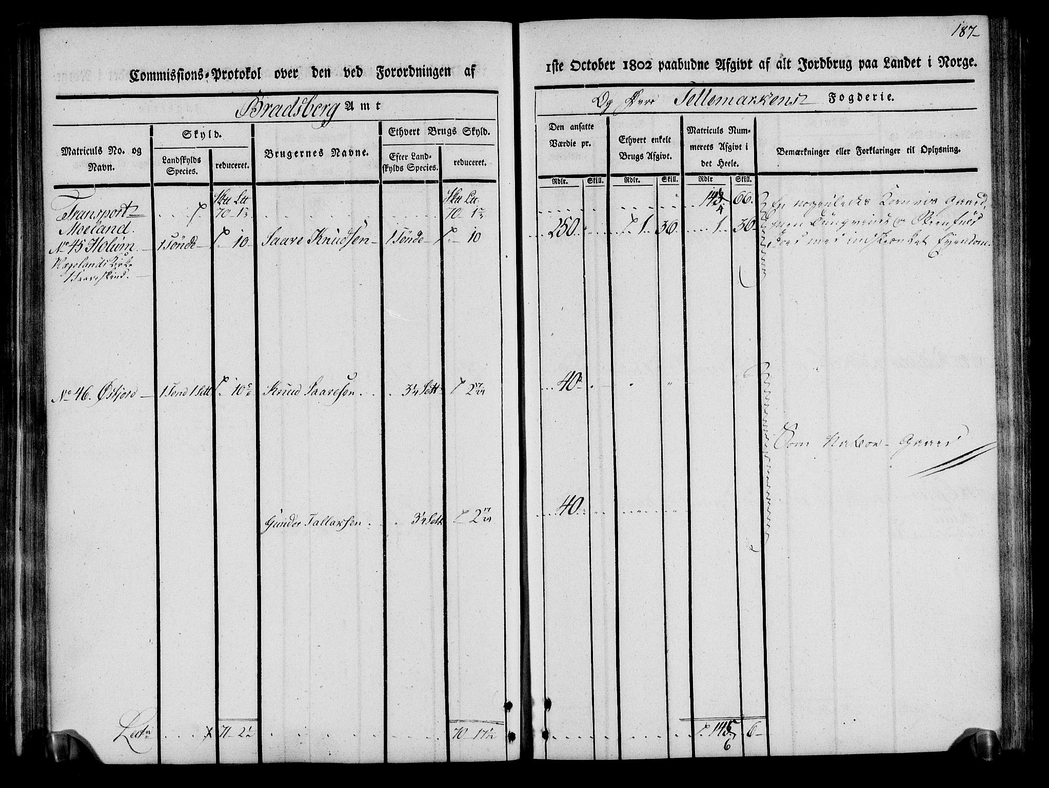 Rentekammeret inntil 1814, Realistisk ordnet avdeling, AV/RA-EA-4070/N/Ne/Nea/L0075: Øvre Telemarken fogderi. Kommisjonsprotokoll for fogderiets vestre del - Kviteseid, Vinje, Moland [):Fyresdal] og Lårdal prestegjeld., 1803, p. 189