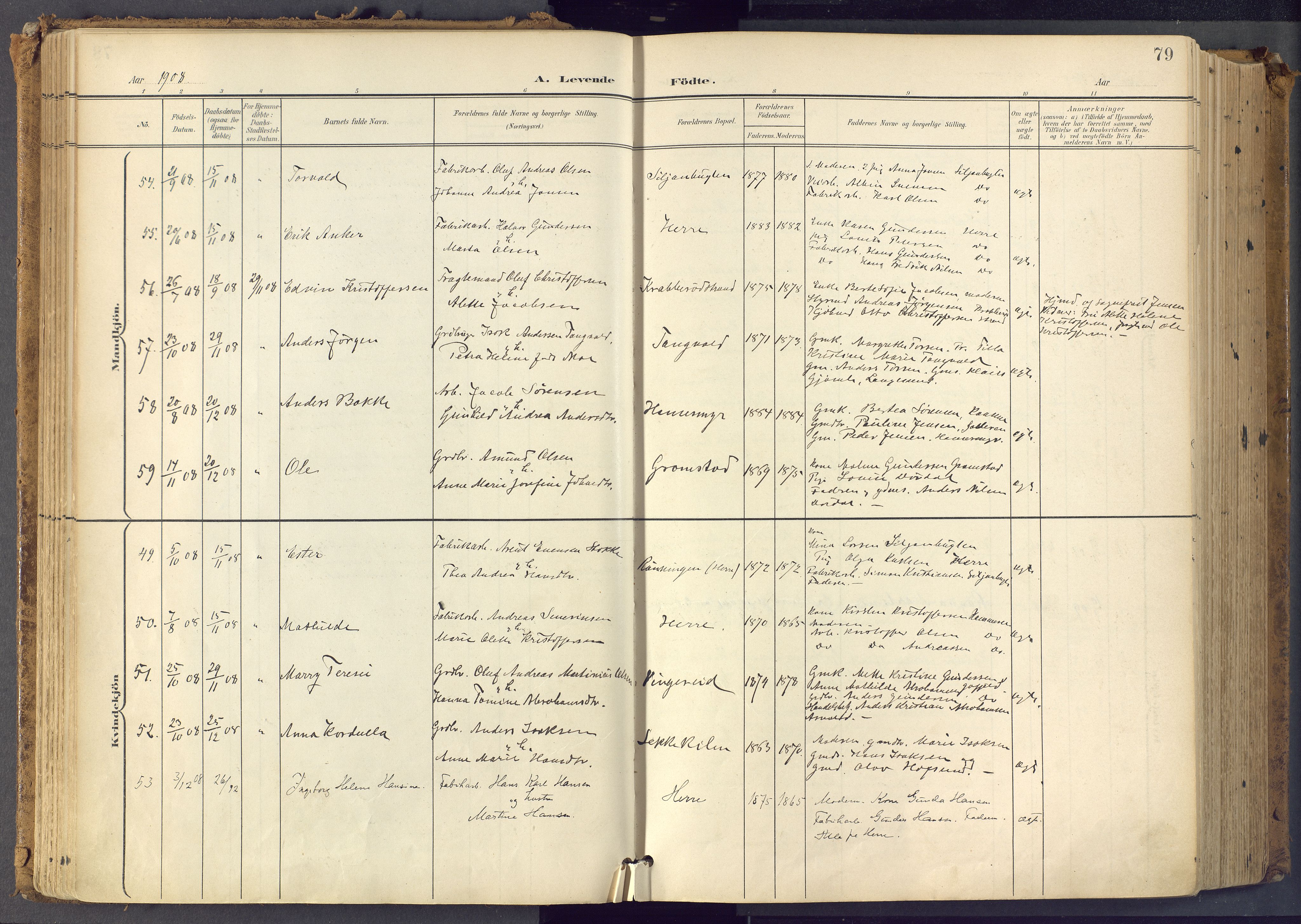 Bamble kirkebøker, SAKO/A-253/F/Fa/L0009: Parish register (official) no. I 9, 1901-1917, p. 79